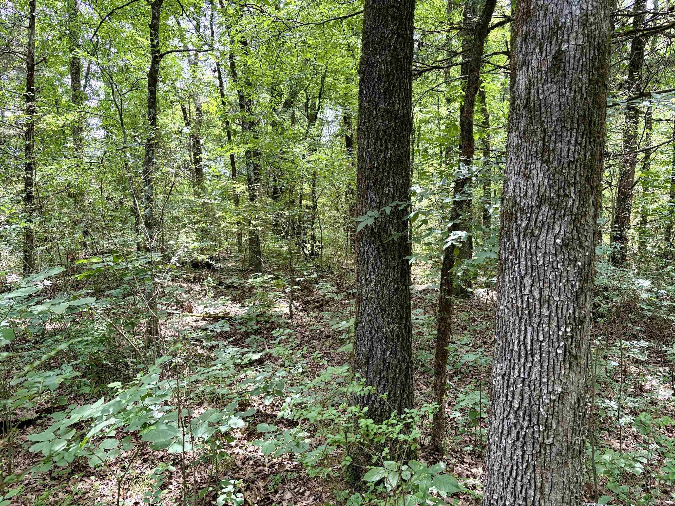 Cranford Acres - Land