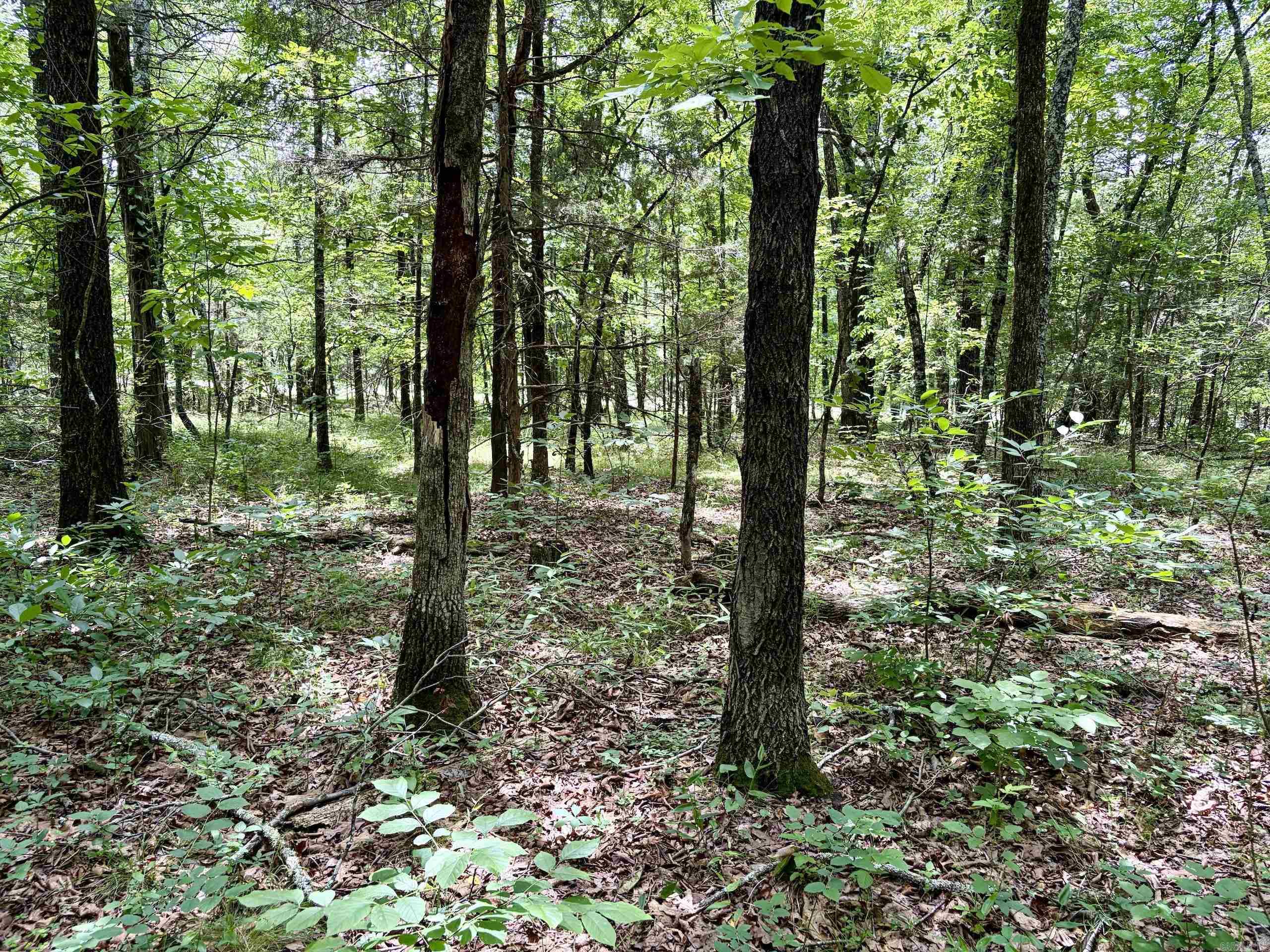 Cranford Acres - Land
