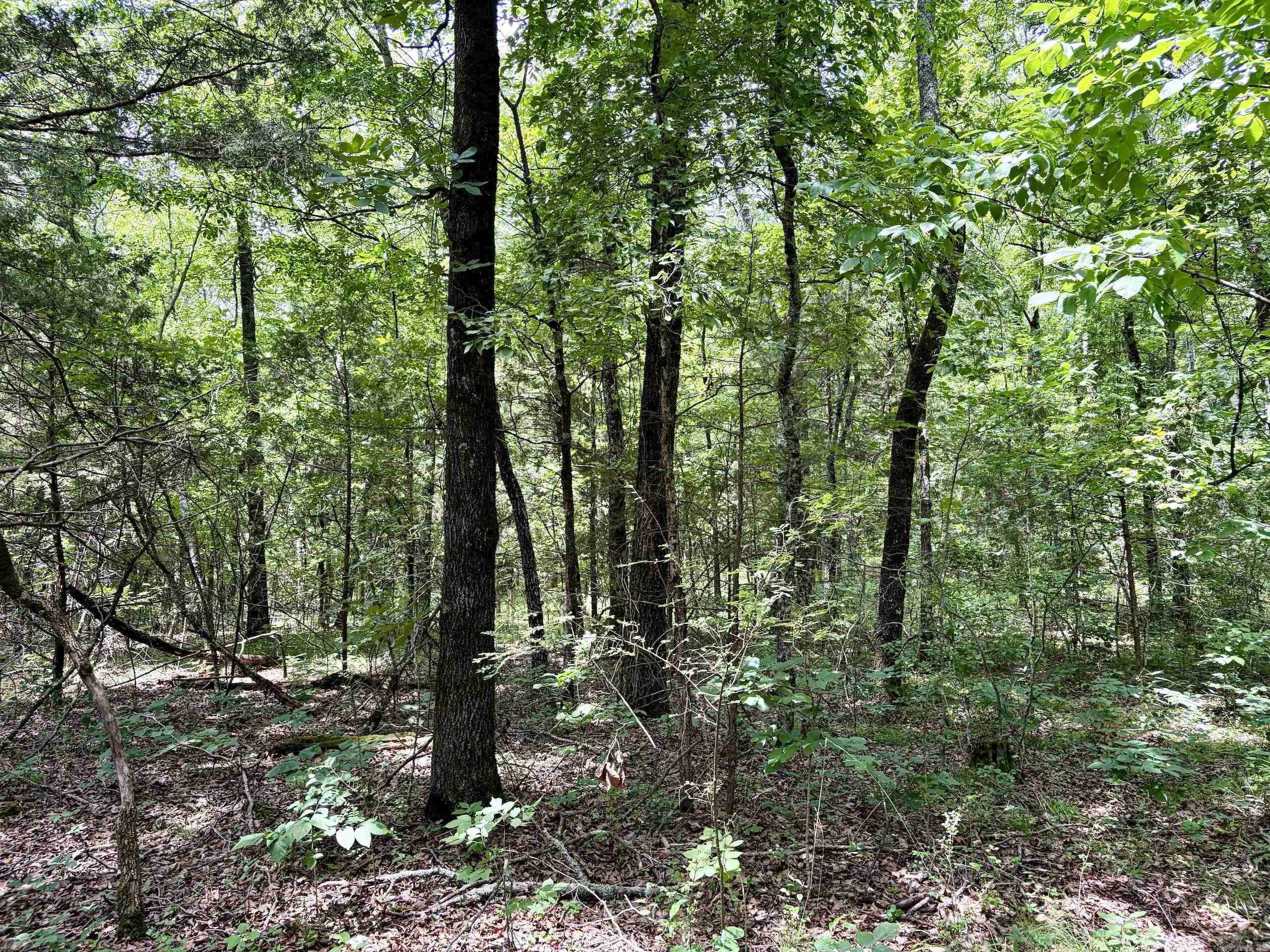 Cranford Acres - Land