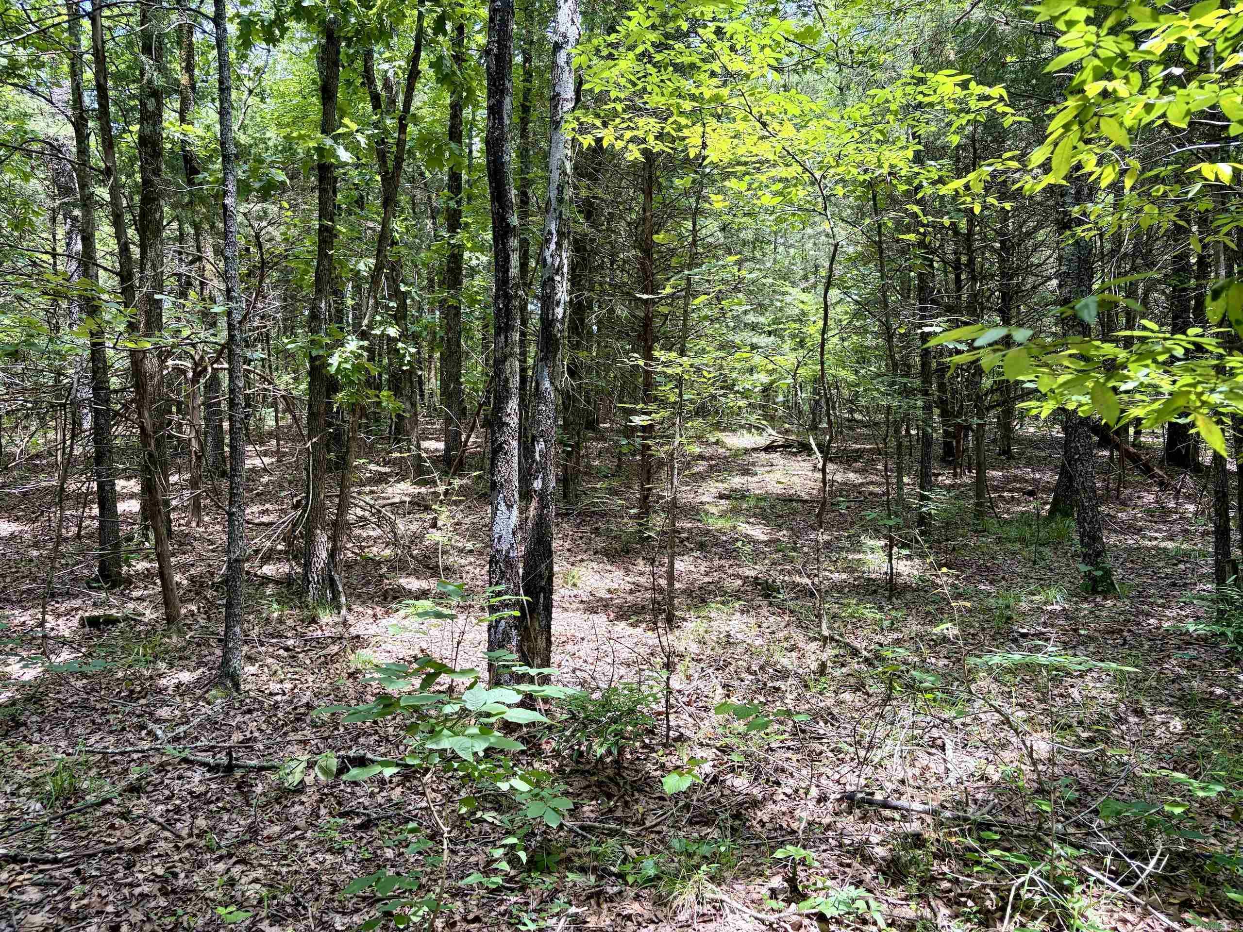 Cranford Acres - Land