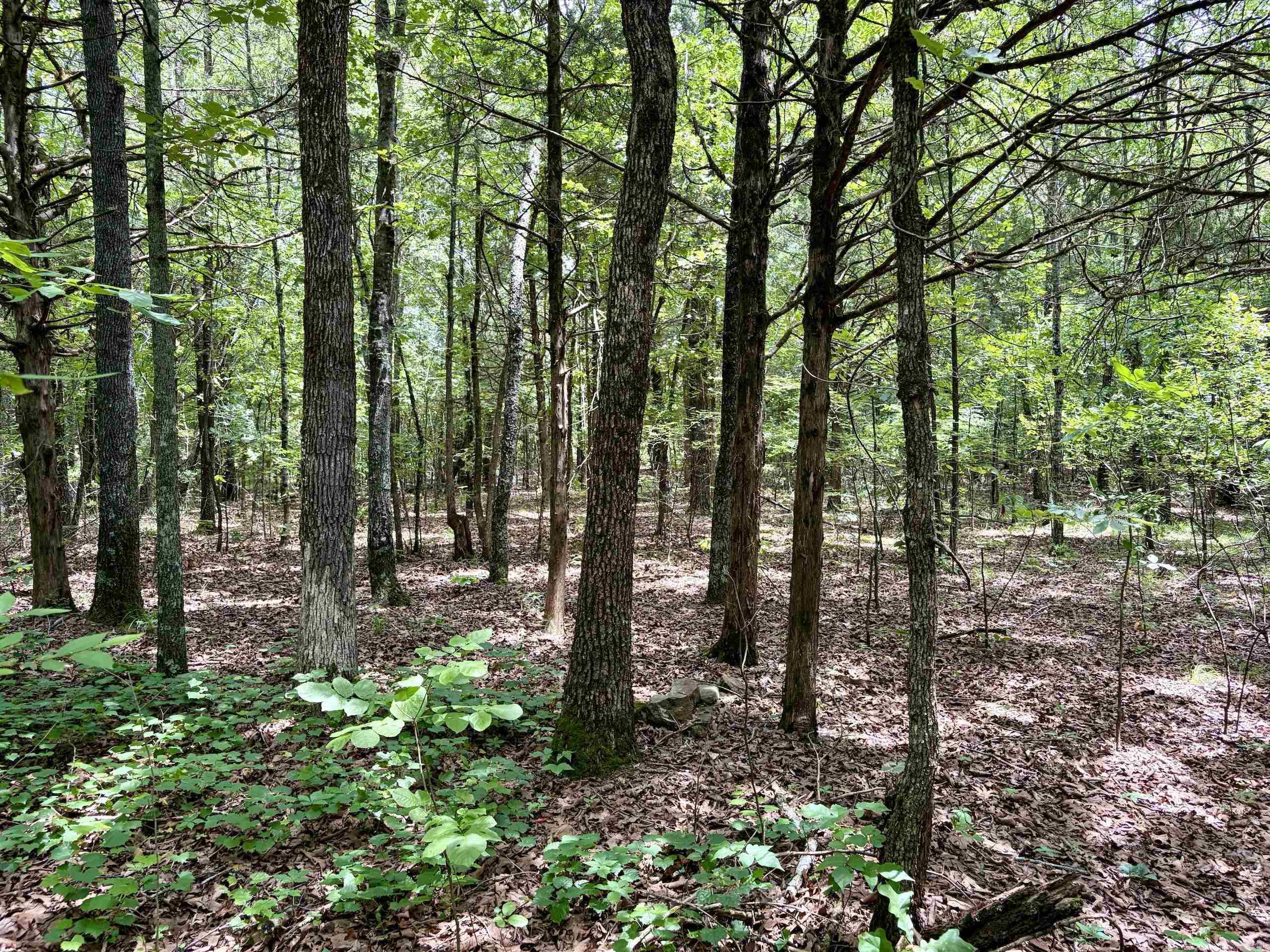 Cranford Acres - Land