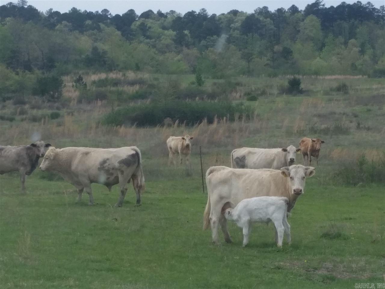 11-01S-25E - Farm