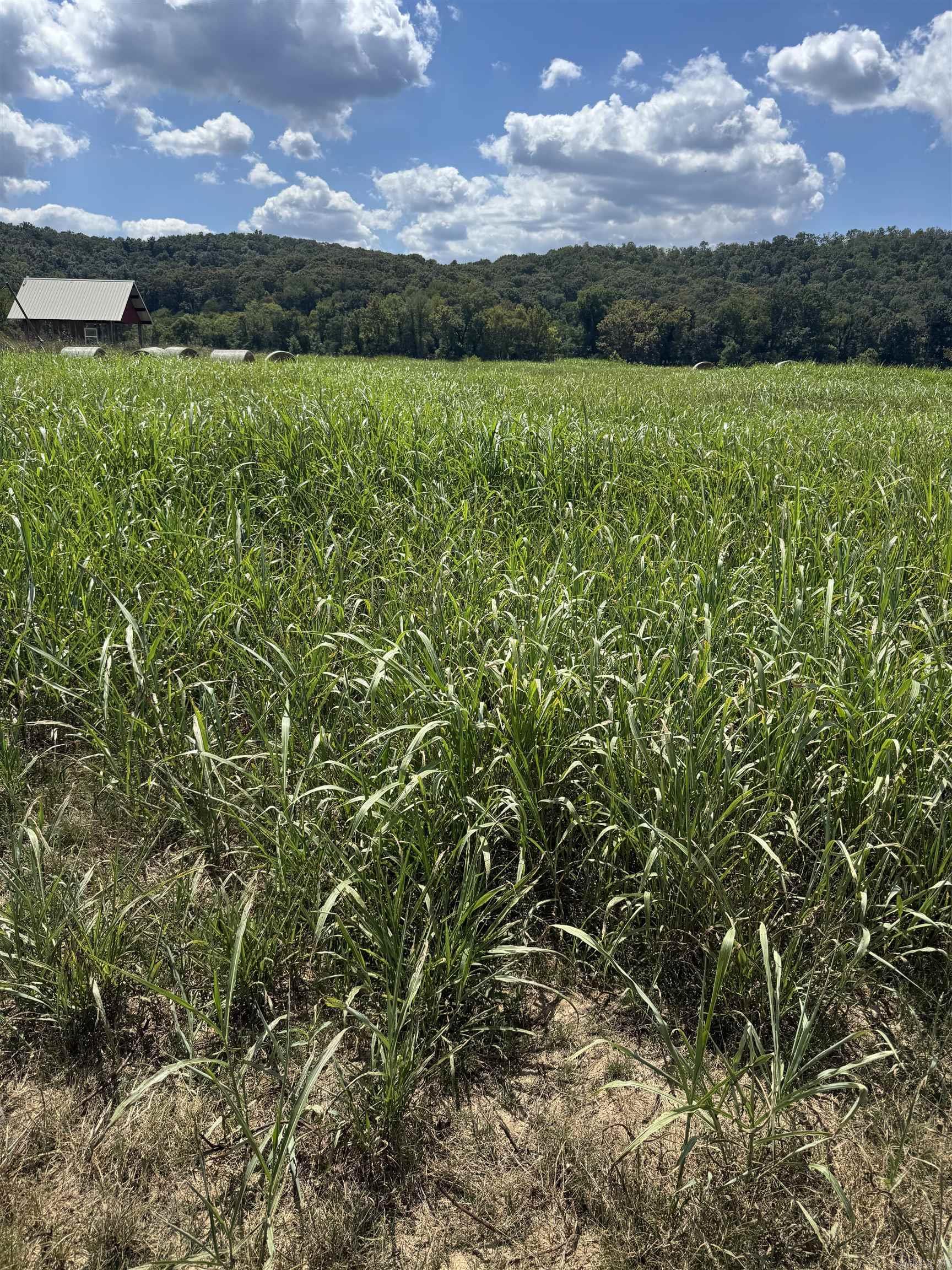 1.27 acre lot in White River Run with frontage on the world famous White River in the beautiful Arkansas Ozarks! Great river access and beautiful views of the bluffs.