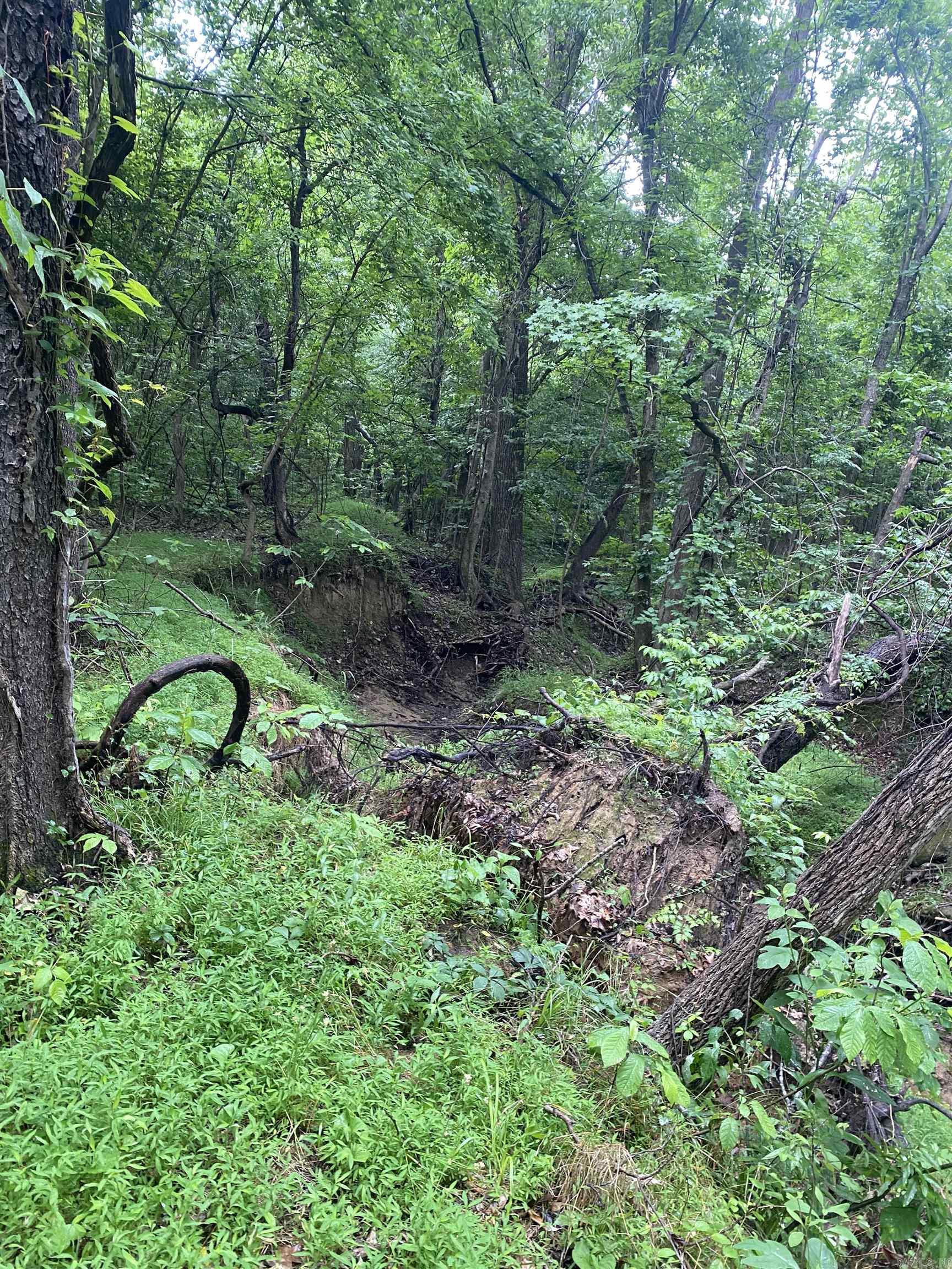 Lot 4 of 4. 10 Acres of wooded land, would be a great location to build your new home, This place is loaded with deer and turkey!  It has two creeks on the property and Big creek runs from Lake Frierson, causing it to be filled with fish as well! Seller has 40 acres total for sale in multiple tracts!