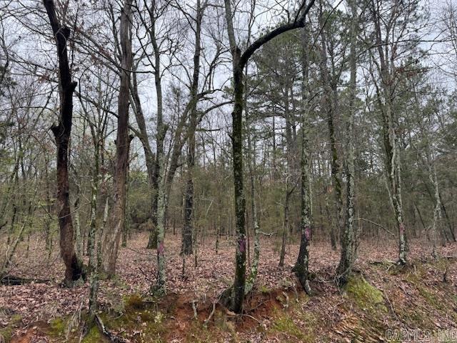 Wooded 5 acres. Near Lake Ouachita.