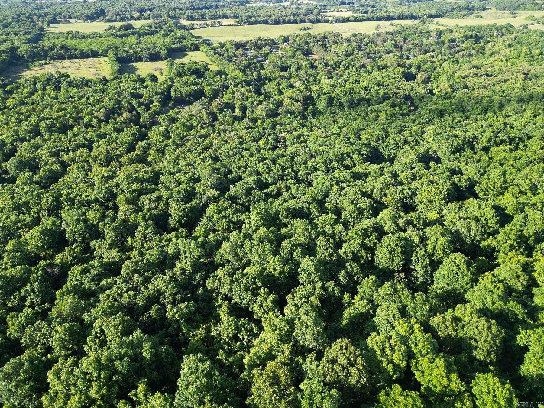 Escape to this one-of-a-kind 40± acre tract on Whiskey Creek Lane in rural Independence County, Arkansas. A 2-track road leads into a stunning landscape of terraced hillsides, towering bluffs, and unique rock formations surrounded by mature hardwood timber. Multiple species of oak provide exceptional wildlife habitat, making this property ideal for hunting, recreation, or a private getaway. With nearly 300 feet of elevation change, scenic trails, and multiple potential building sites, the property offers both beauty and versatility. Electric is already on site, and rural water is available at the road. Conveniently located just 8.6 miles from Batesville and 39 miles from Heber Springs, this rare Ozark foothill property combines privacy, natural character, and accessibility.