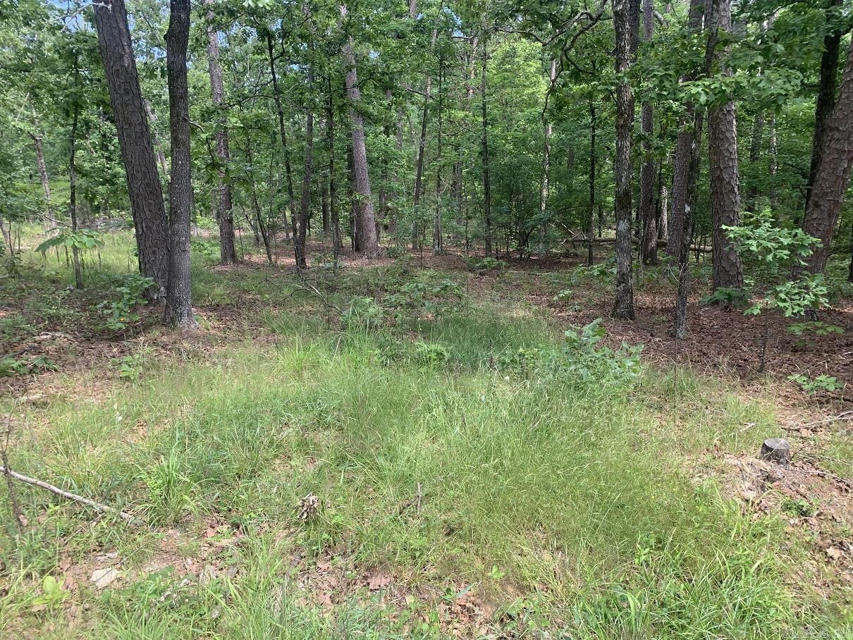 It's time to make the village your home.  Check out this beautiful building lot and imagine your new home just setting there waiting for you to move in.  Choose your style and layout now and begin construction on your dream home.  Play golf anytime you want.  Take advantage of the paved walking trails and bicycle trails throughout the village.  Ride your golf cart thru the woods to the golf course.  Enjoy the club swimming pool and all of the enjoyable restaurants in the village.  You've been thinking about it and now is the time to take action.  Call today for more details and you own personal tour.