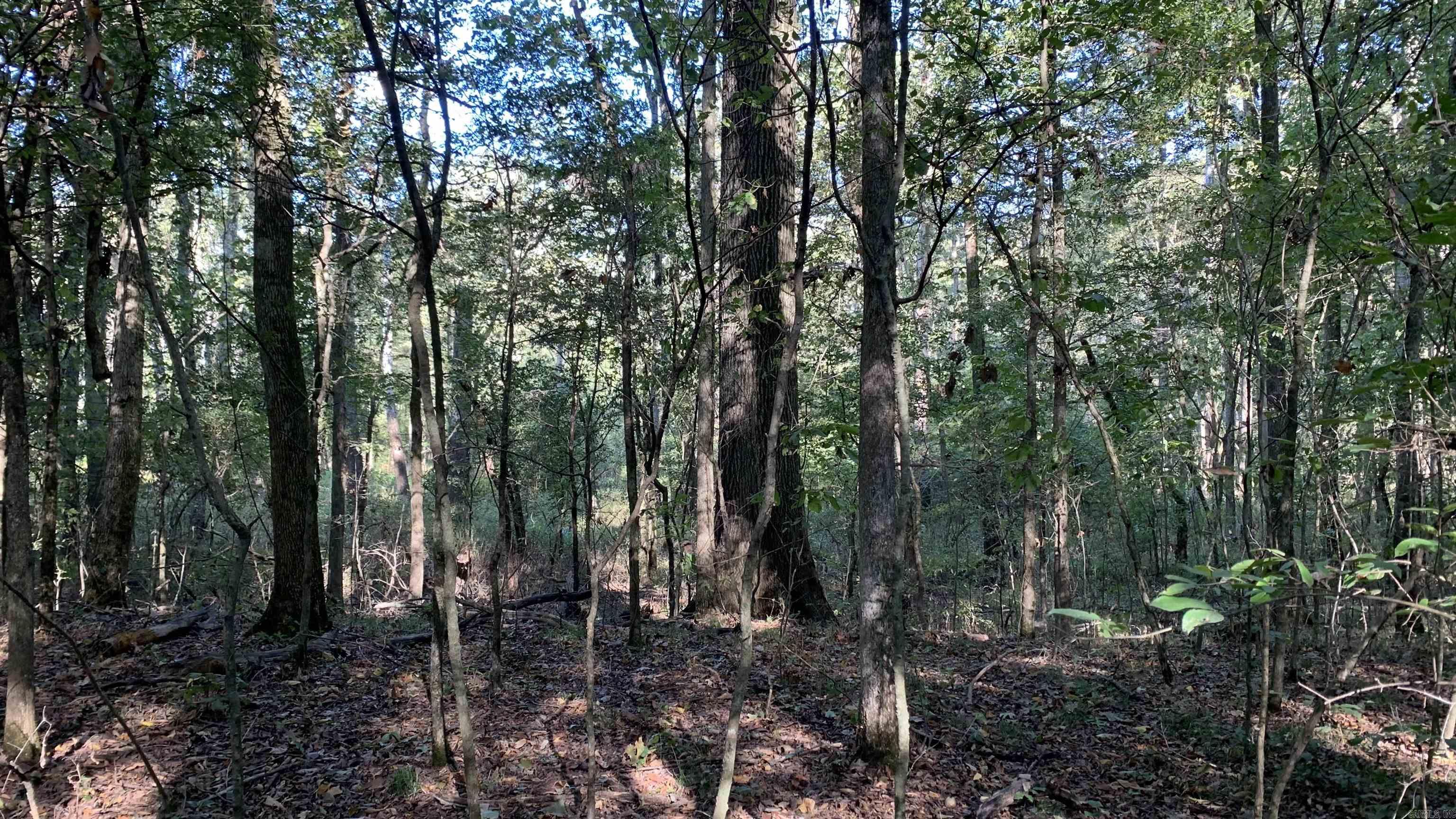 Not in Subdivision - Land