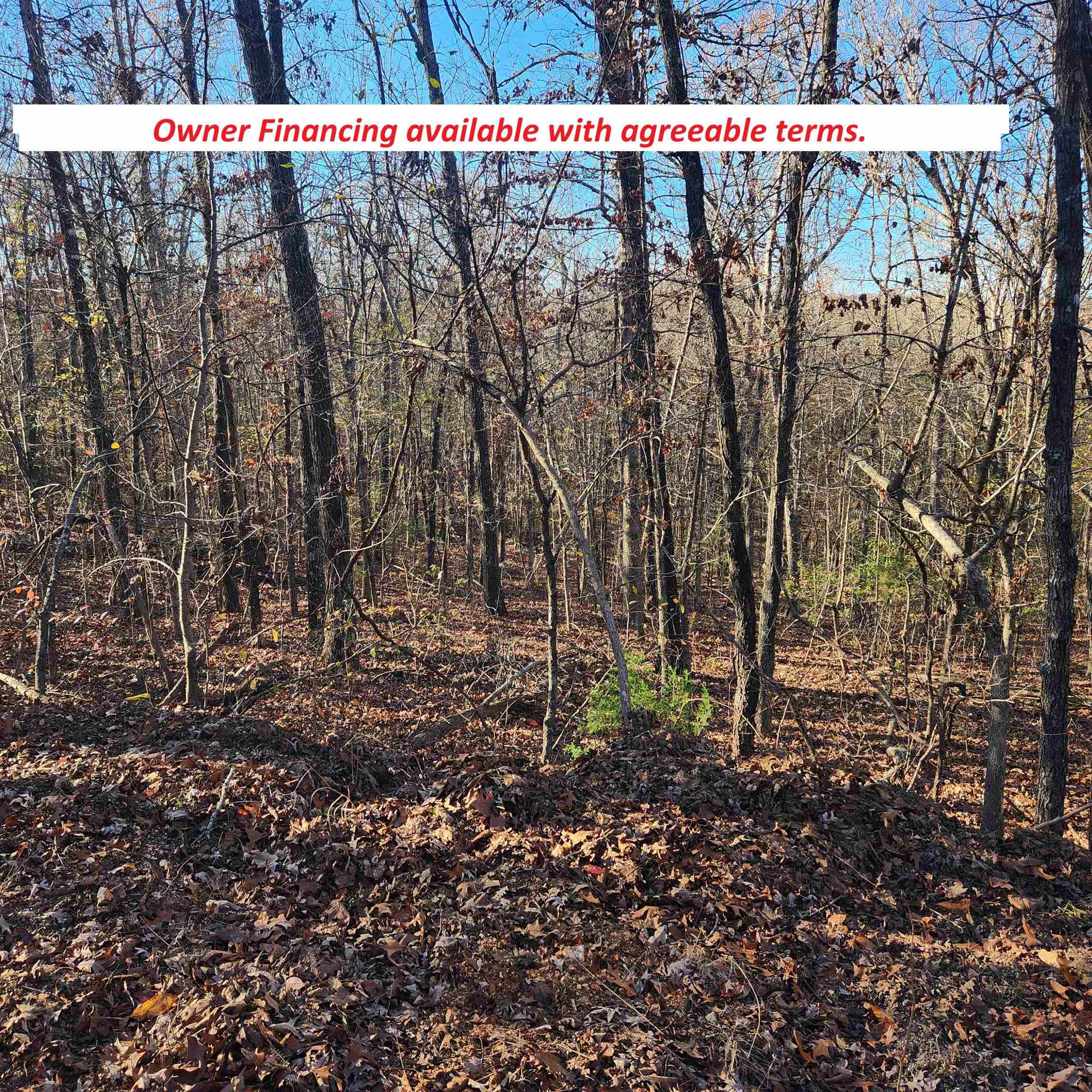 Over an acre of land comes with these 2 lots in Cherokee Village. A rare find to get 1.3+/- acres M/L with 2 lots. This secluded Cul-de-sac is just the place to build your new hill country home or cabin. Nestled in really close to the southwest fork of beautiful Lake Thunderbird. Less than a 1/4 mile away from Lamonta Park, where Right Prong and Otter Creeks meet to dump into Lake Thunderbird. This amount of land inside Cherokee Village, is a steal at this price and the location can't be beat. Come pick your spot for your new Home or Cabin. With ownership of these lots, you will have access to all the amenities of Cherokee Village such as the 7 lakes and Two 18-hole golf courses also the Thunderbird Center and swimming pool, mini golf, parks, hiking trails and don't forget about the beautiful Southfork River for fishing, kayaking or just floating down to wet your toes. Call and make it a point to come see these 2 wonderful lots. Owner Financing available with acceptable terms.