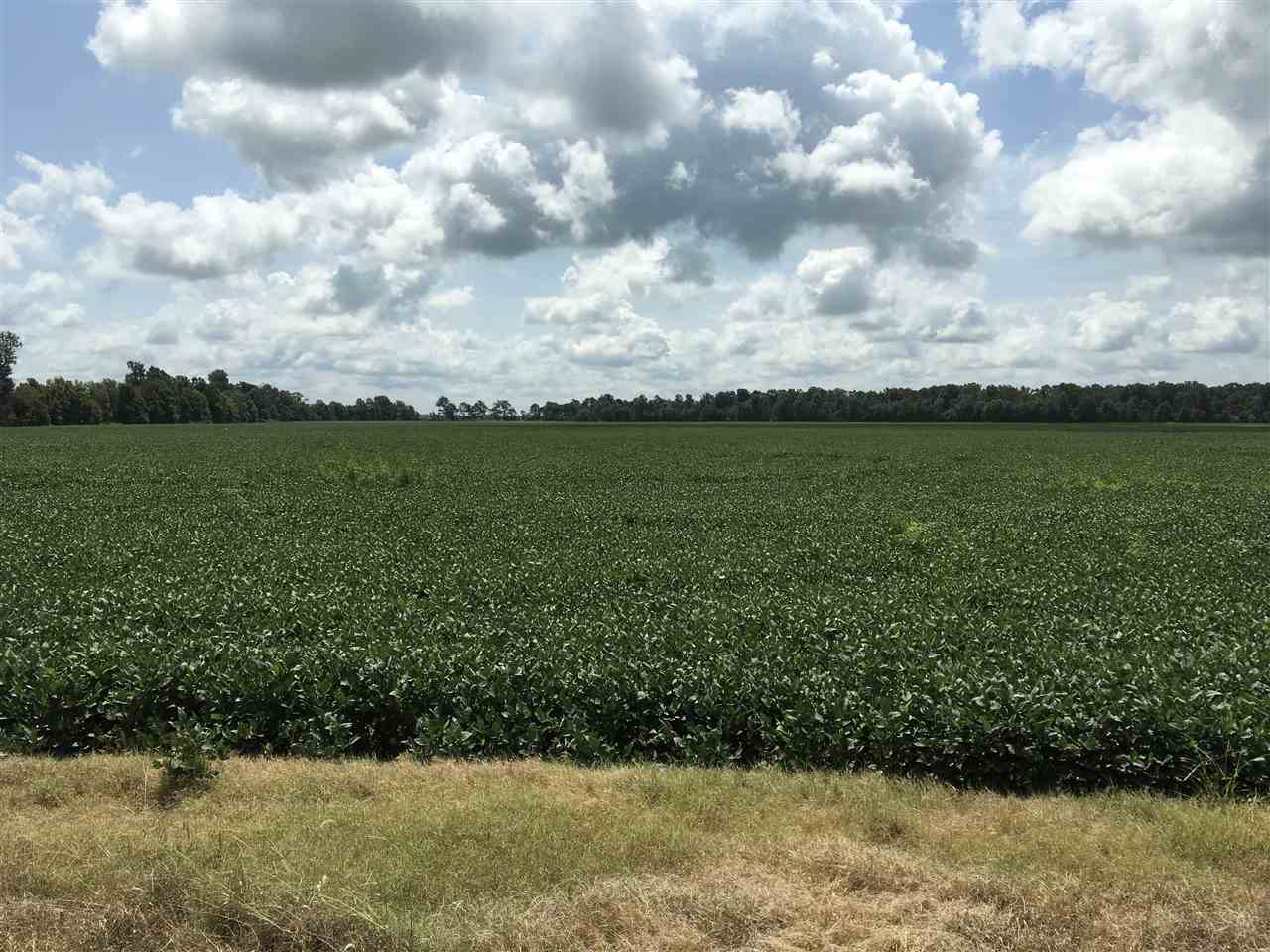 Metes & Bounds - Farm