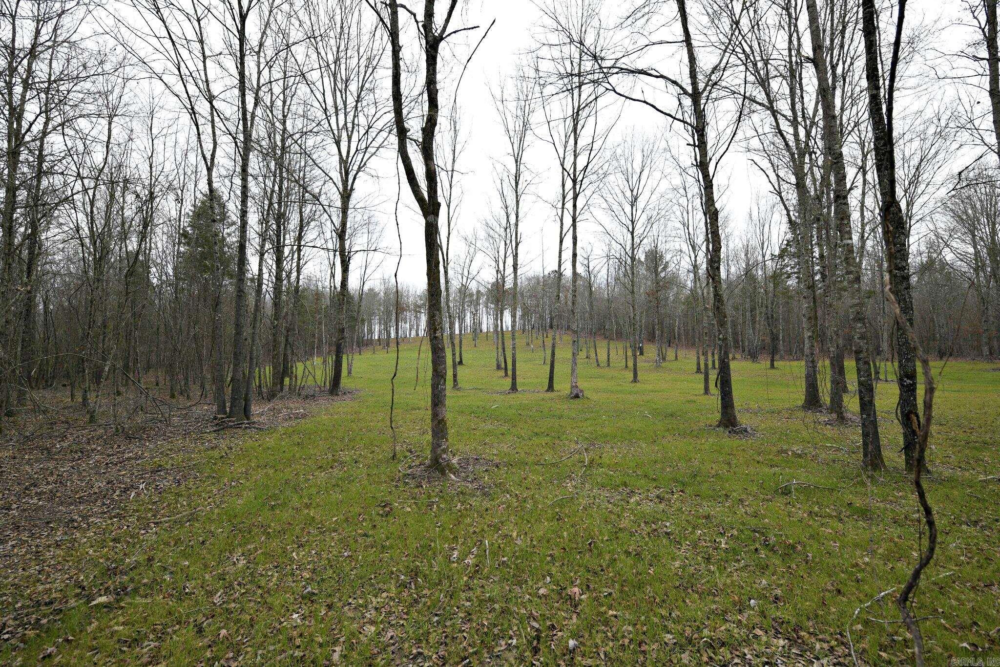 10.13-acre wooded tract with a potential homesite situated near the back of the property for added privacy. Access is via a deeded easement, and the land includes a seasonal creek with an elevated area that may allow a homesite overlooking the water feature. The tract offers mountain views, mature trees, and a primarily natural setting with visible wildlife activity typical of rural acreage. A spring on the property is reported to provide a possible water source for limited use or gardening, subject to verification and any required approvals. Electricity is understood to be available nearby, which may assist with future development plans. This property may be suitable for a weekend cabin, homestead, or periodic recreational use such as hunting or hiking, consistent with local regulations and recorded restrictions. Two additional 10-acre tracts are available in the immediate area.