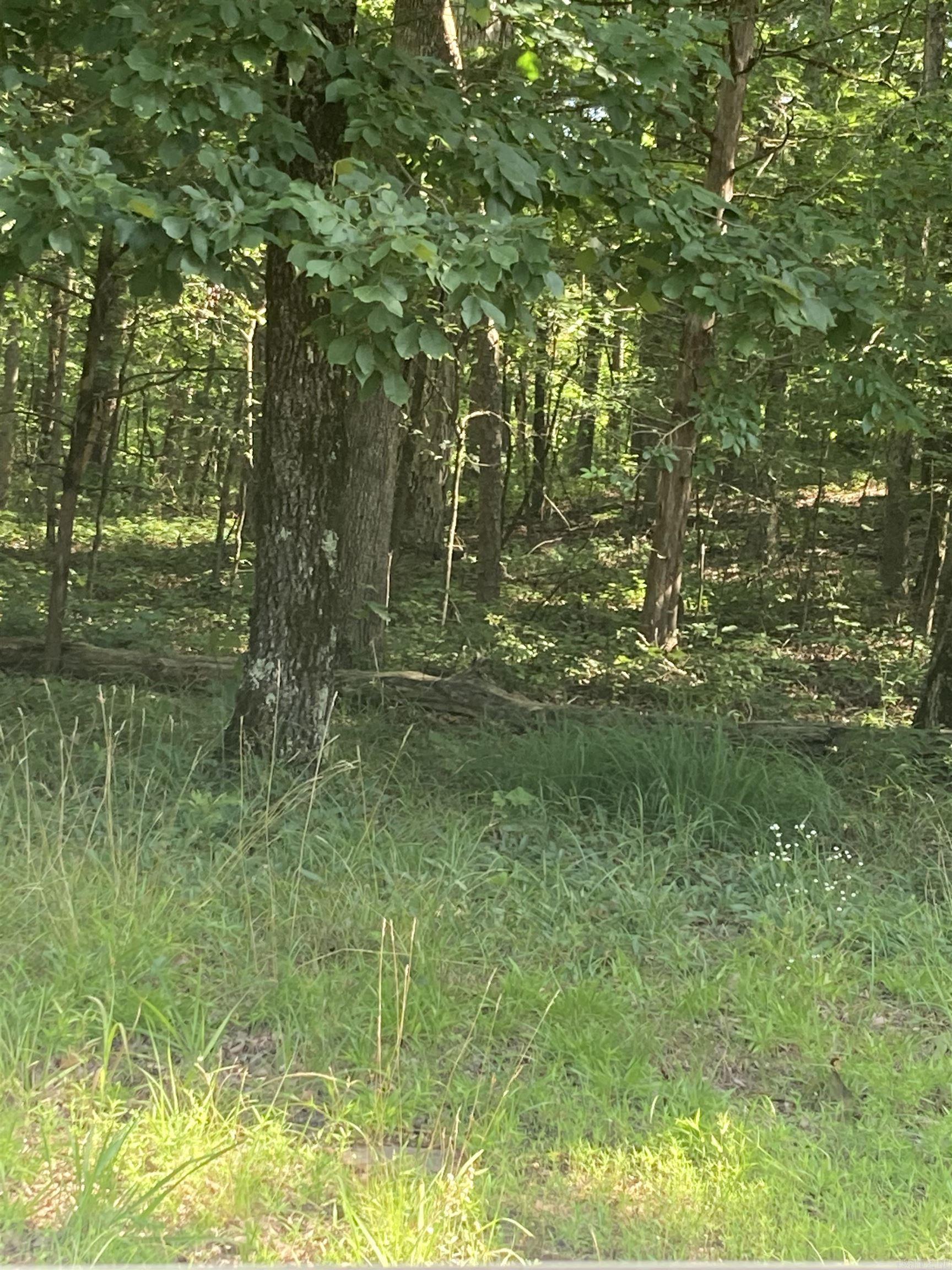 Discover your piece of paradise nestled in the Ozarks in stunning Fairfield Bay, Arkansas! This centrally located lot, near the Indian Hills Golf Course, presents an ideal opportunity to construct your dream home in a highly sought-after locale, complete with a plethora of amenities. A stone's throw from the breathtaking Greers Ferry Lake & full-service marina, it's a haven for fishing enthusiasts, boating aficionados, or those who simply cherish waterside serenity. Fairfield Bay doesn't stop there; it boasts an array of facilities, including three swimming pools, two 18-hole golf courses, extensive hiking and biking paths, ATV/UTV trails, pickleball and tennis courts, and more. Whether it's outdoor excitement, a sociable tennis match, or a tranquil day poolside, Fairfield Bay caters to all.   Surrounded by nature, but only 90 minutes to Little Rock, this could be your own little Ozark oasis. Agents, see agent remarks