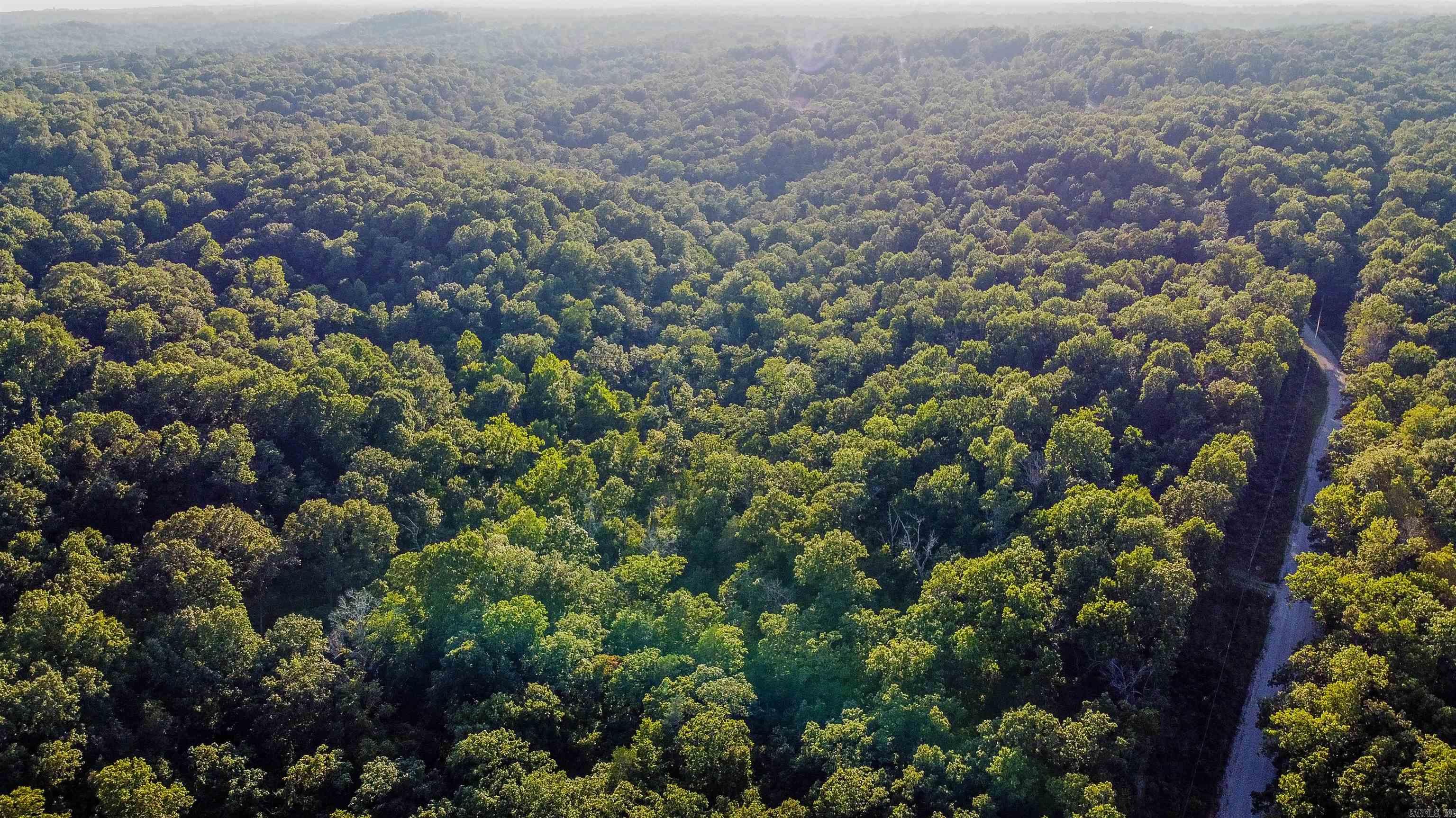 Dogwood Park - Land