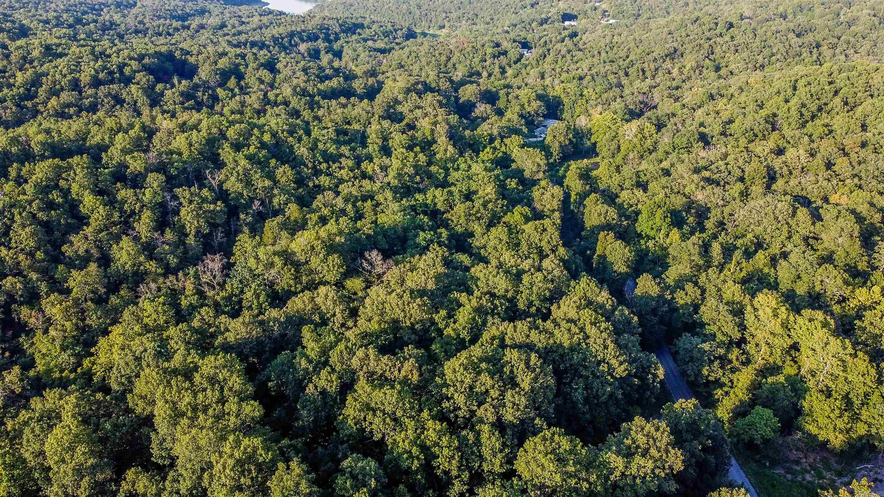 Dogwood Park - Land