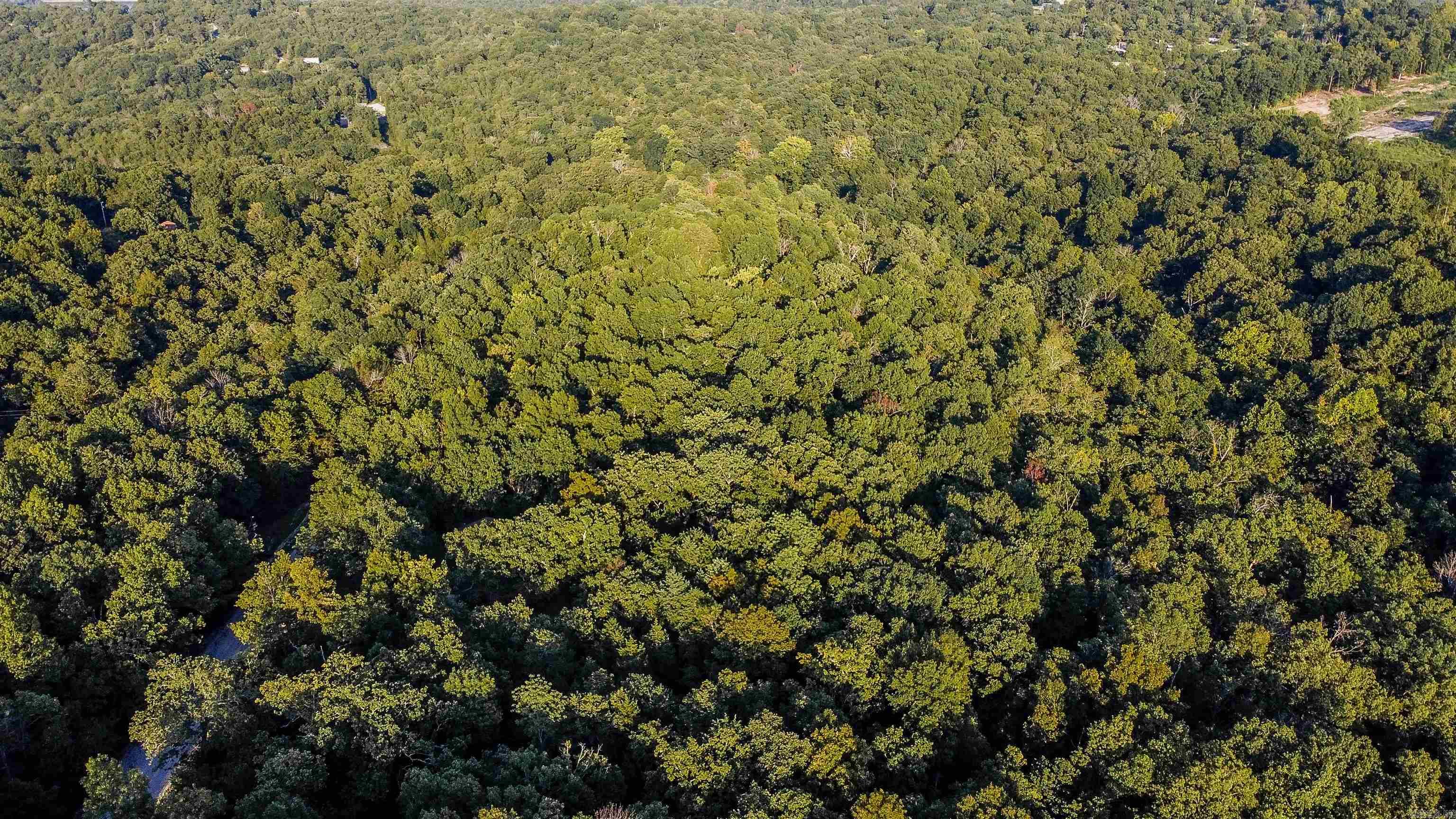 Dogwood Park - Land