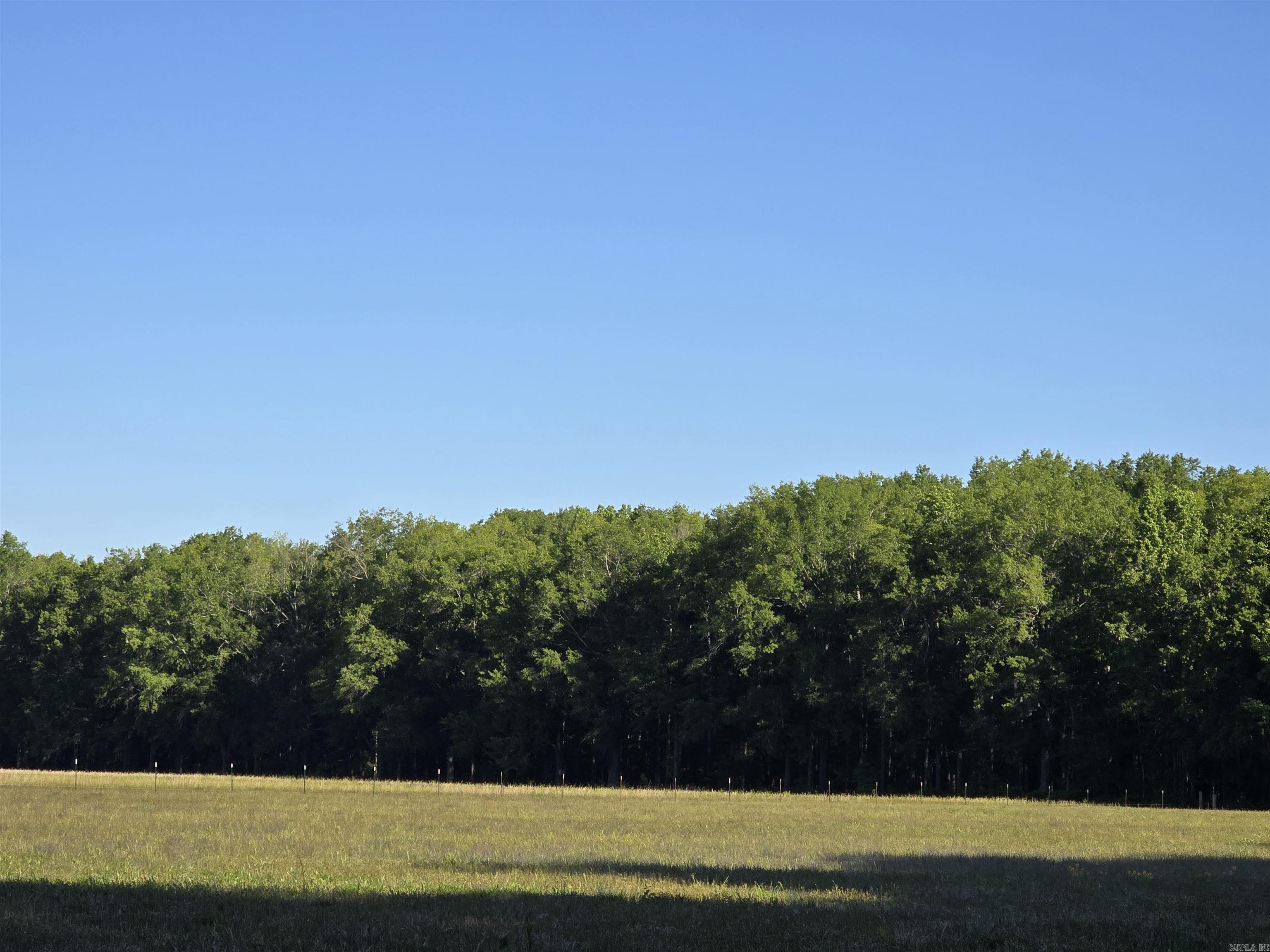 This 40 wooded acre property would make the perfect secluded and peaceful place to build you new home or an amazing place to have for hunting. It is full of mature hardwoods and currently has a cleared food plot of about 1/4 acre. The property is accessible via a recorded road easement with utility easement from Cypress Lake Road. Come explore this beautiful property today!