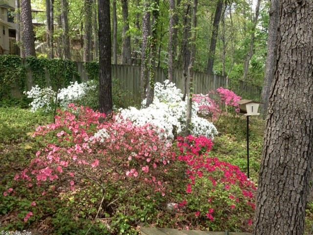 PEBBLE BEACH PARK - Residential