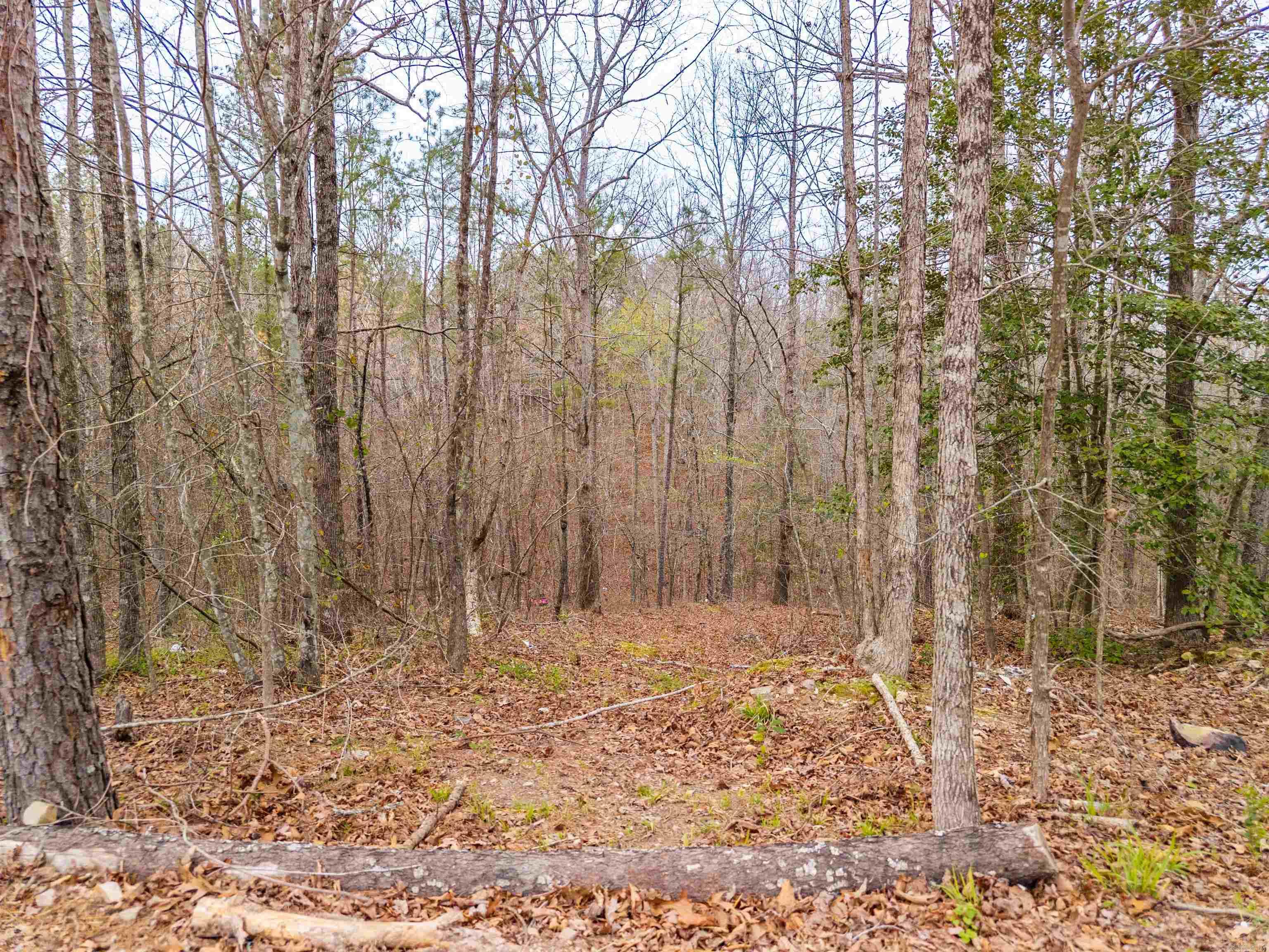Not in Subdivision - Land