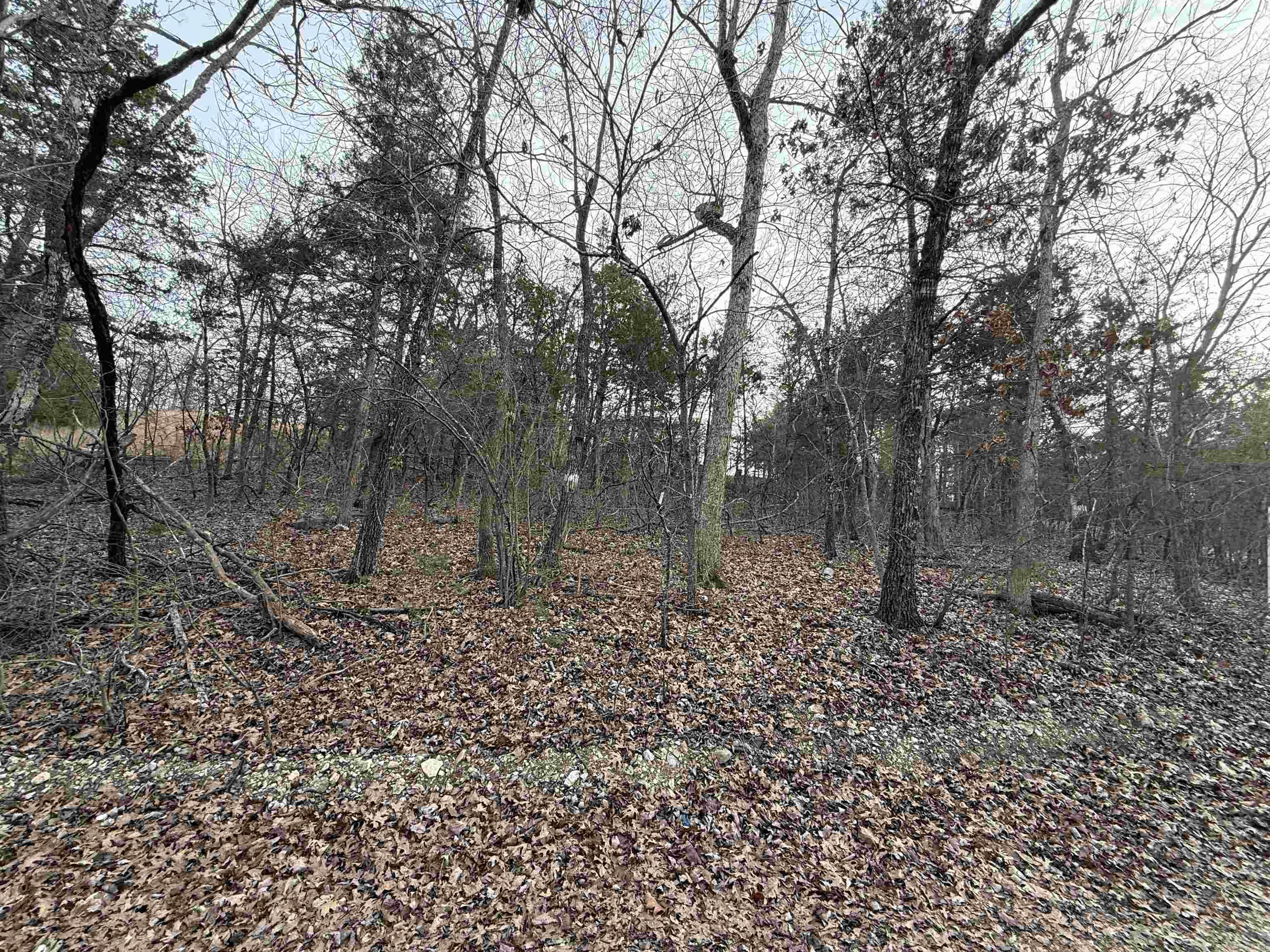 Excellent investment opportunity on this gently sloping, wooded 0.21-acre lot bordering Corps of Engineers property on two sides—offering long-term privacy and protected surroundings your buyers will love. With all utilities available, this property is primed for development, whether for aspec home, rental property, or resale project. Ideally located near Diamond City Marina, providing easy access to Bull Shoals Lake recreation,this lot combines strong market appeal with build-ready convenience. A rare chance to secure a desirable location with natural buffer zones andhigh buyer demand—perfect addition to any builder or investor portfolio!