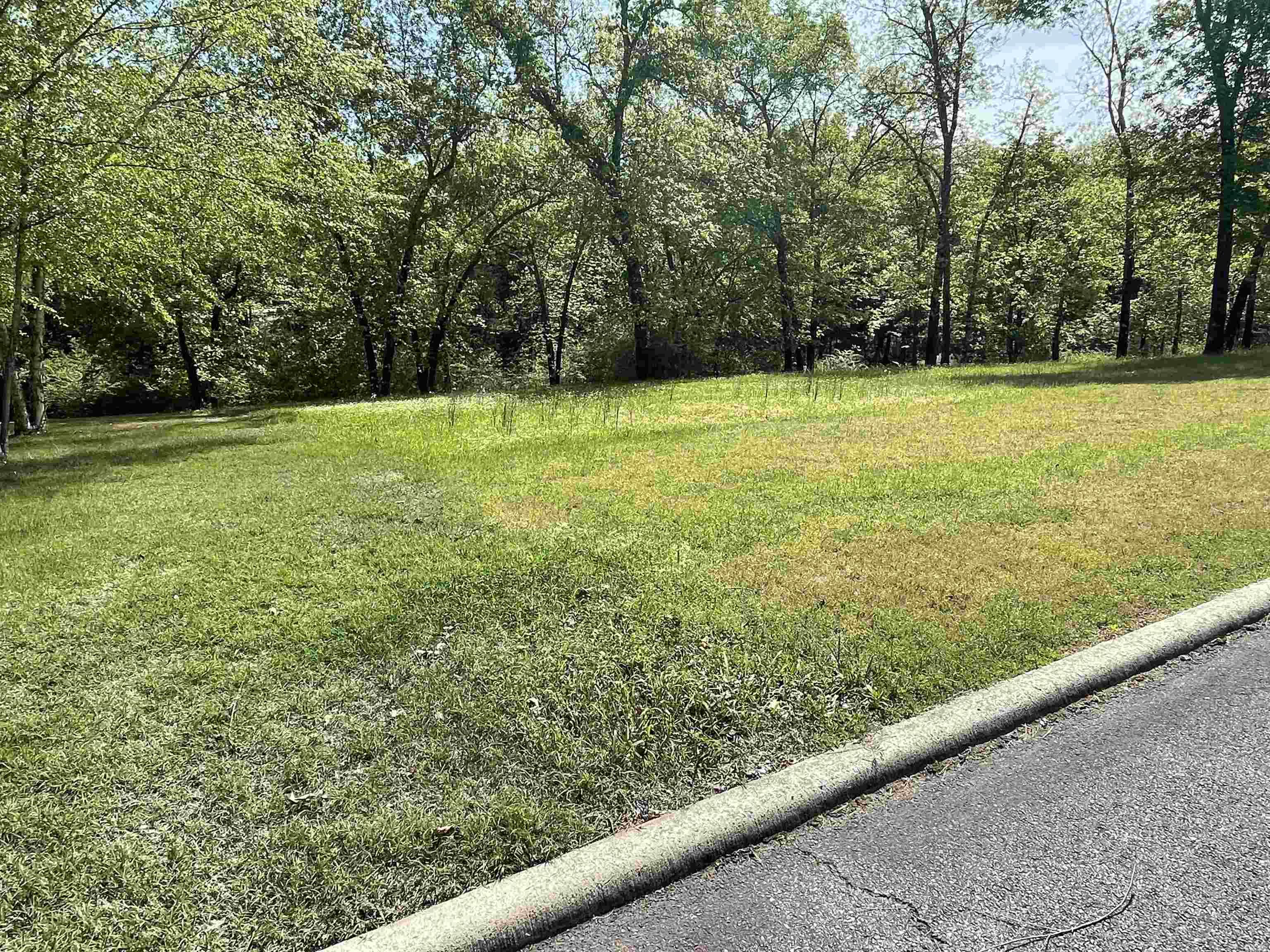 Welcome to Brighton Pointe where you will find this lot to be the most affordable lot in the subdivision! Great lot to build your new home in this beautiful gated subdivision.  Enjoy this location being close to all the conveniences of Heber Springs as well as Greers Ferry Lake and close to Little Red River.  Beautiful homes surround this subdivision with a community pool for your enjoyment.  You will not be disappointed to see this one!