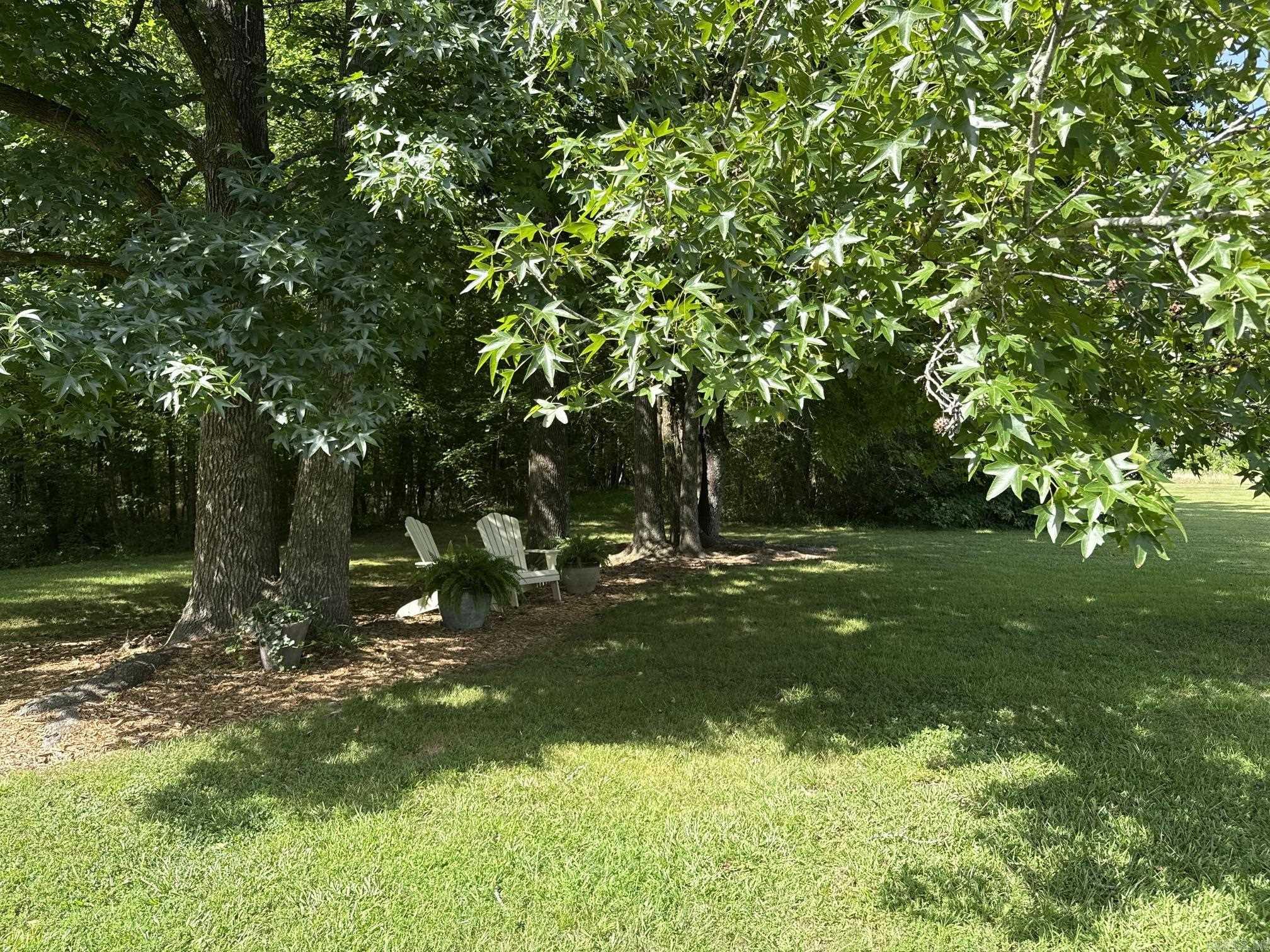 Natural Springs - Residential