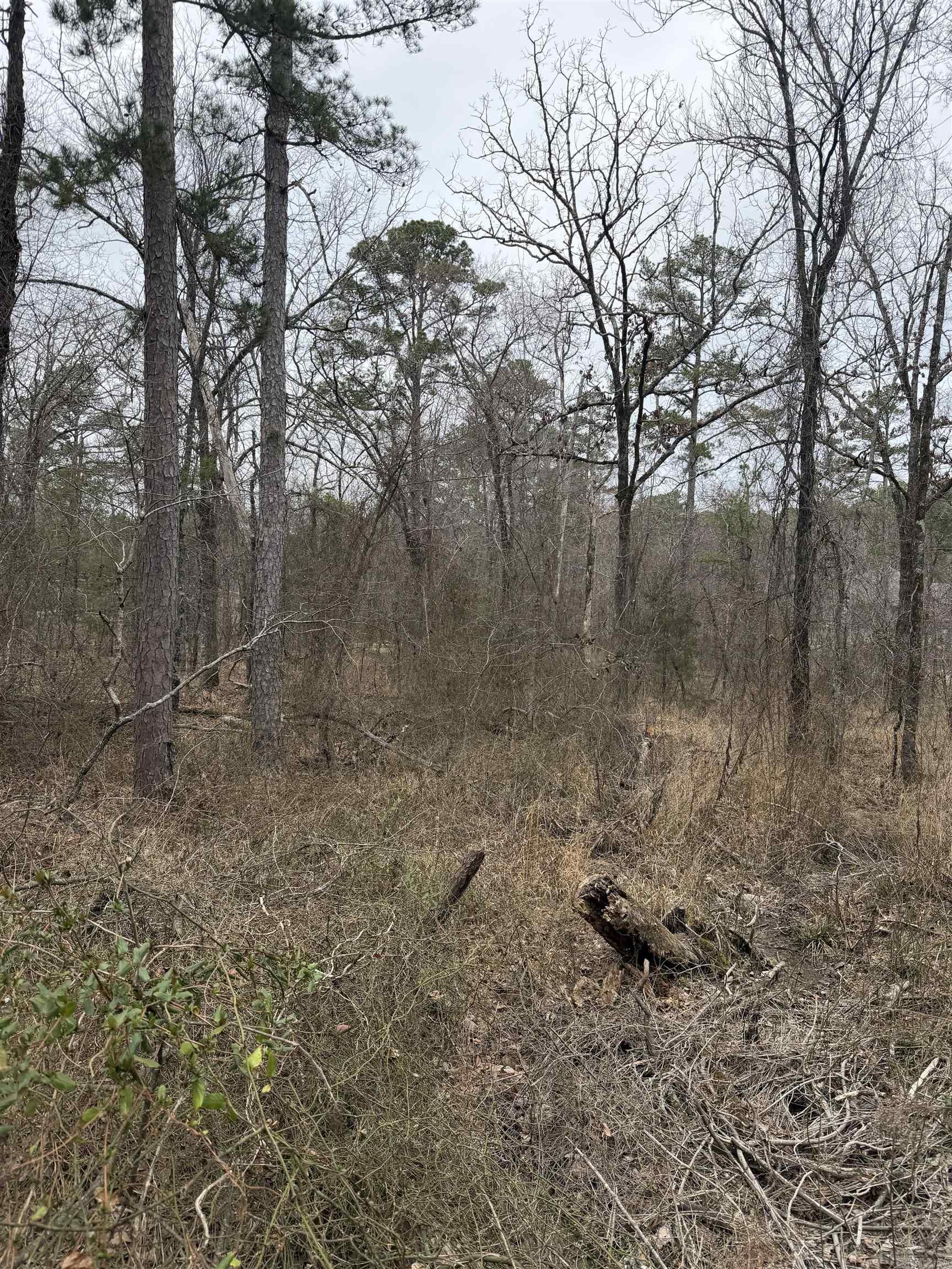 Lot 22 in HSV. Dreaming of golfing, pickleball and lakes? Wait no more!