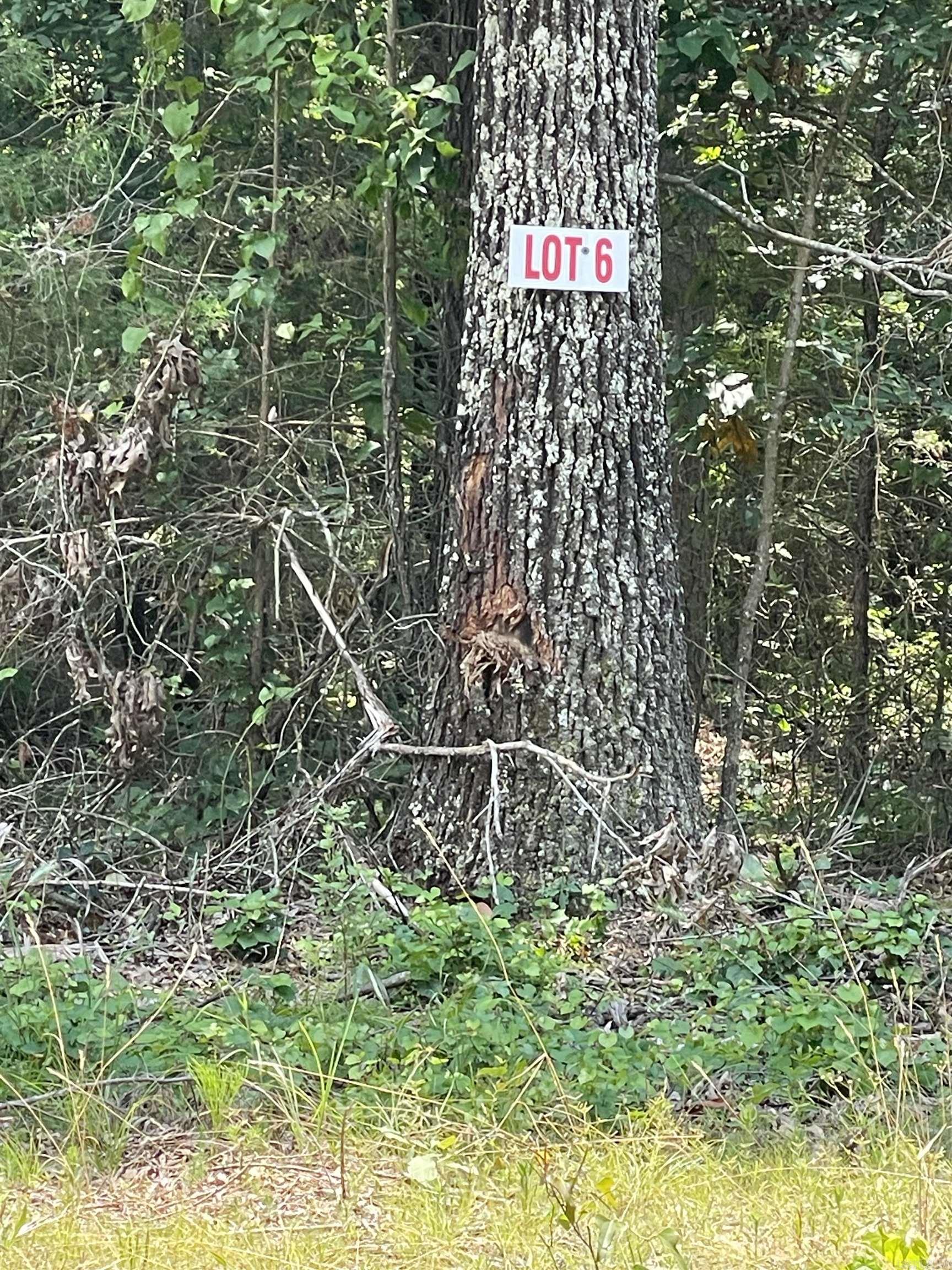 Nice flat lot. There is a utility easement on the back side of property so no one can build on it. Cut the right trees for lots of privacy. Convenient to shopping in the town of Greers Ferry. This is a superb location for a vacation/weekend getaway or a permanent home. Lake access on Twin Coves just around the corner!!