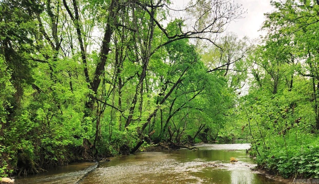 The year-round creek running through this property offers the sound of clear water over rock and a scenic natural feature to enjoy. The land slopes gently down to the water’s edge, providing a potential building site or RV spot for weekend use, subject to any applicable approvals. There are currently no known restrictions. Electrical service appears to be accessible at the road. A water well and septic system would be needed for permanent residential use.