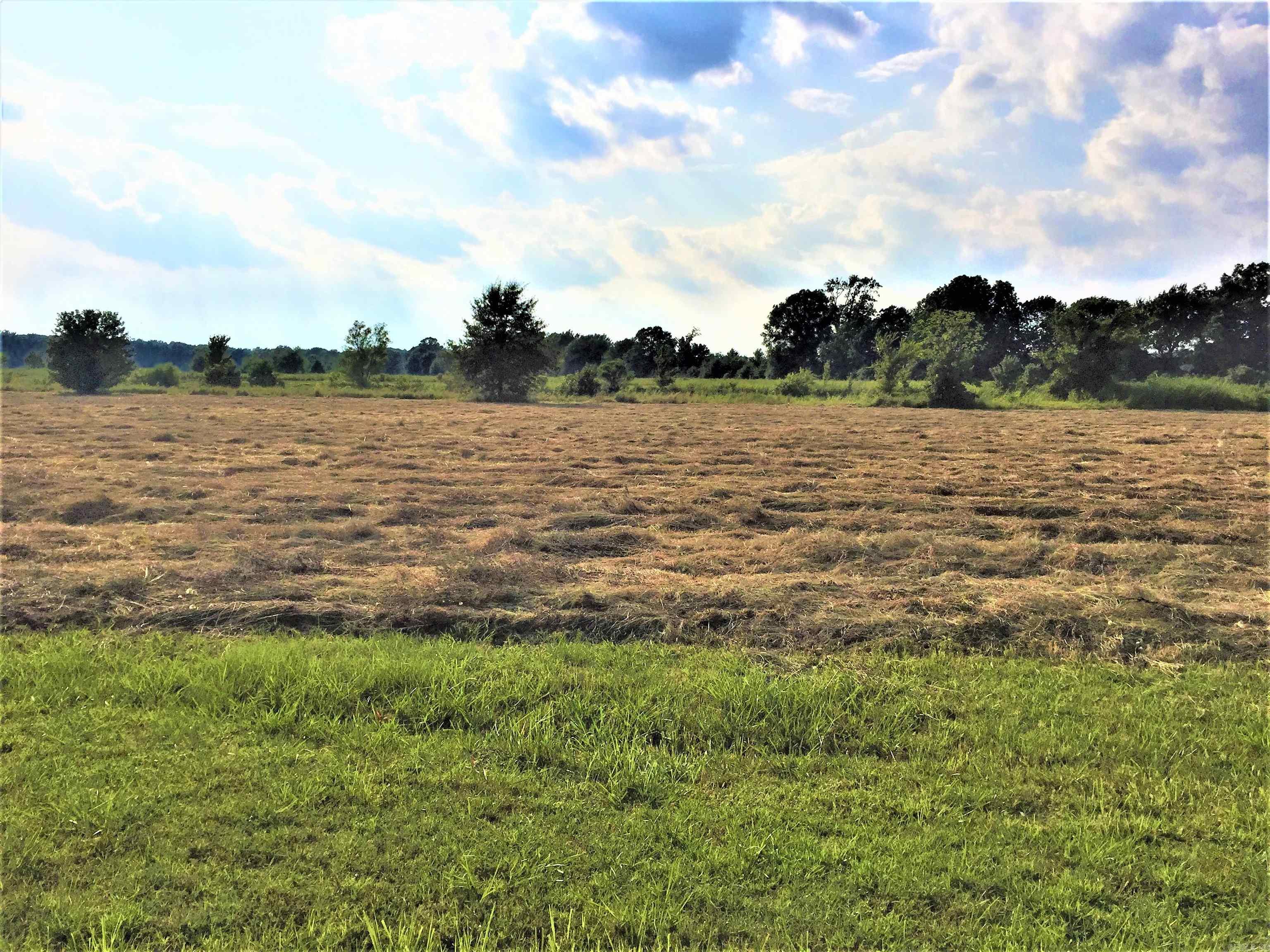 Mound Lake II - Land