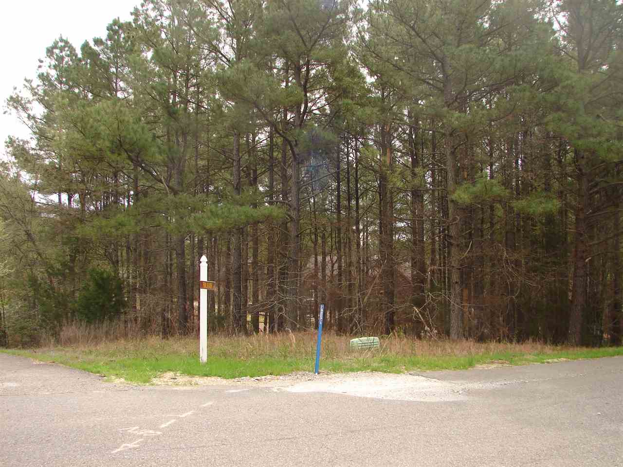 Isabella - Land