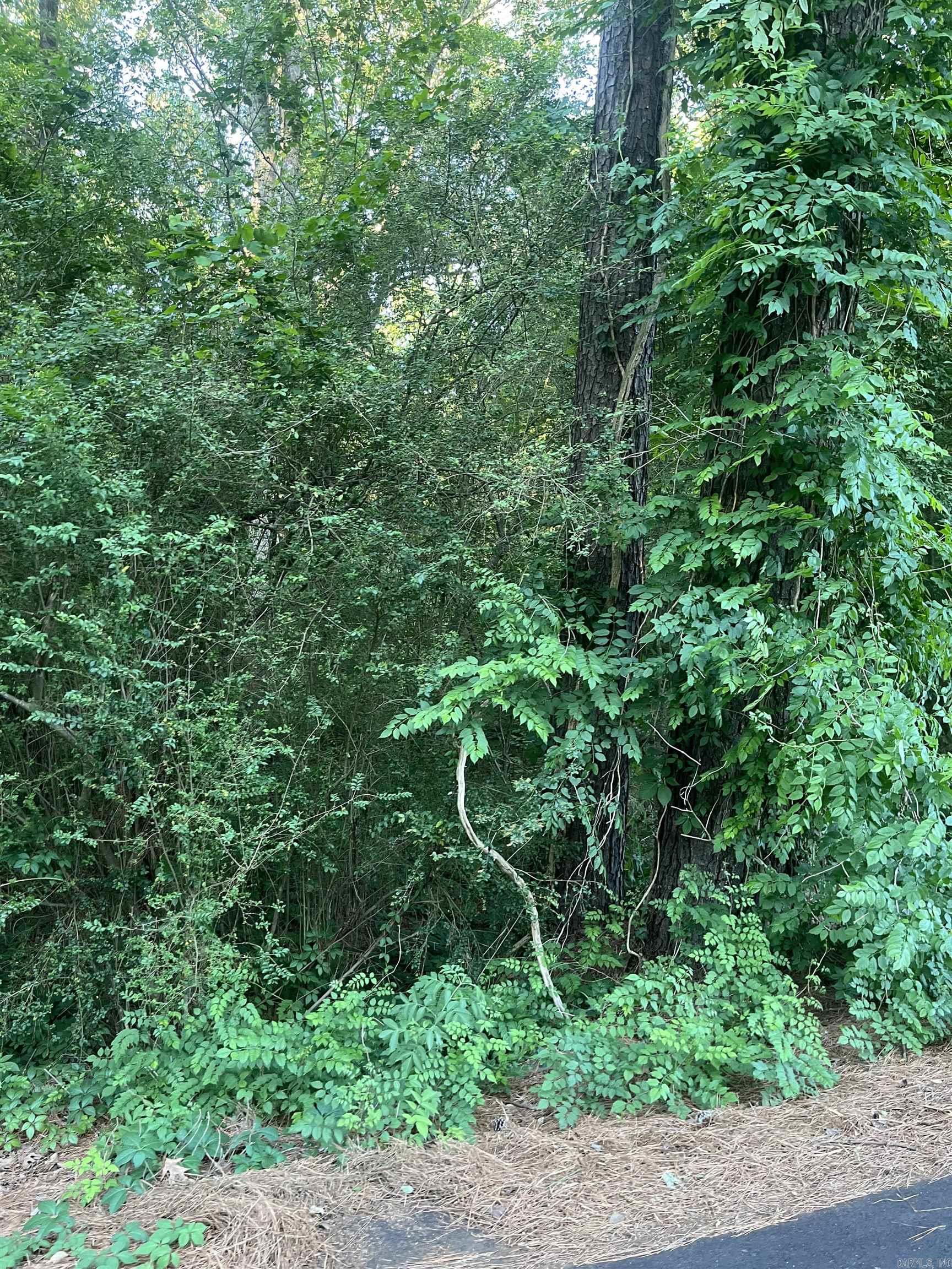 Dreaming of building your perfect home in a great subdivision?  Ready to invest in your next opportunity?  Or thinking about building a property to turn into a rental?  Let’s go walk some of these lots together and create a plan that fits your goals!