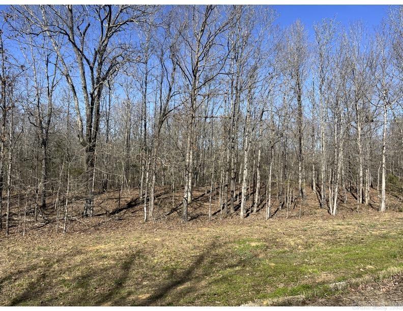 Mountain Ranch Estates - Land