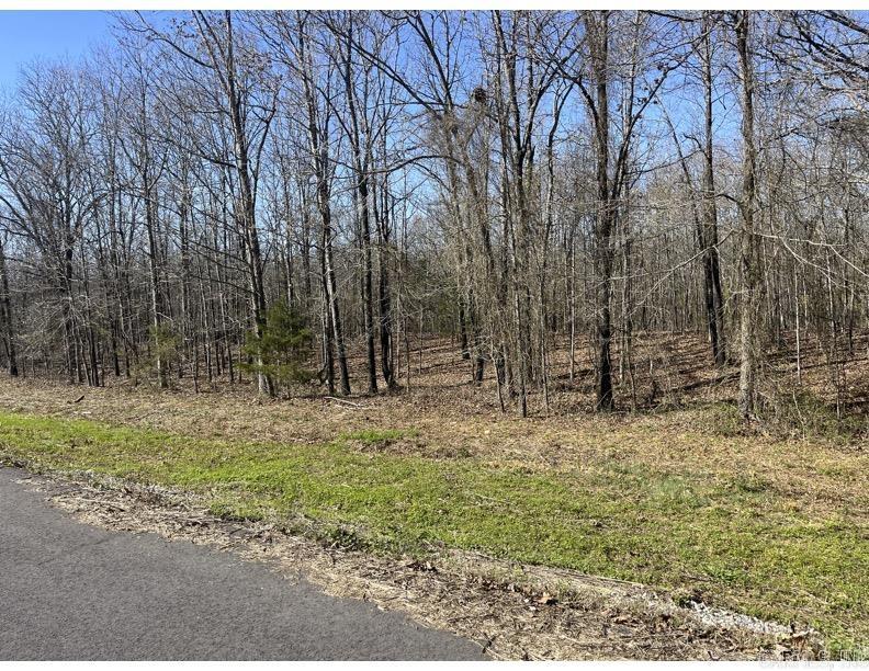 Mountain Ranch Estates - Land