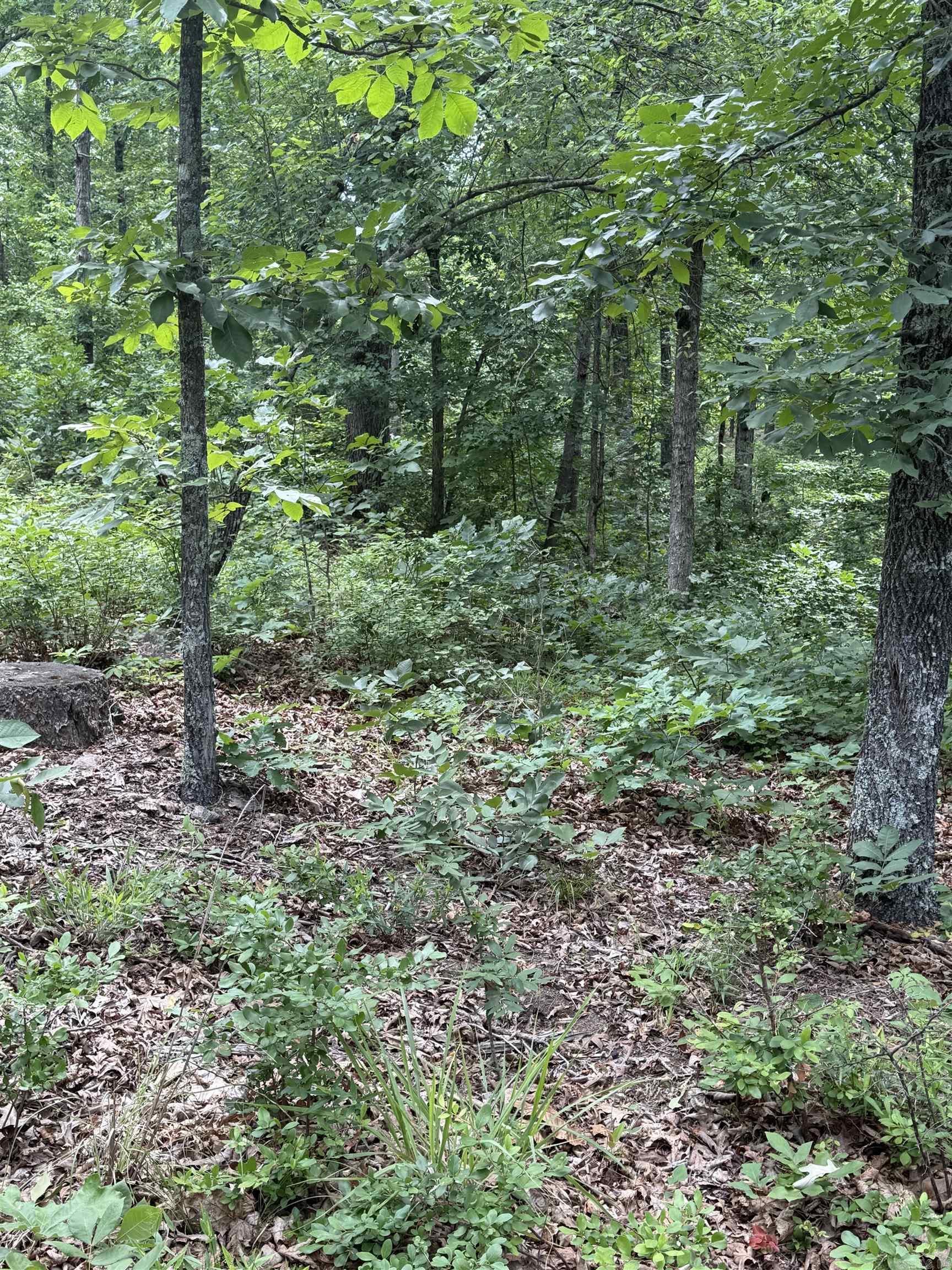 Not in Subdivision - Land