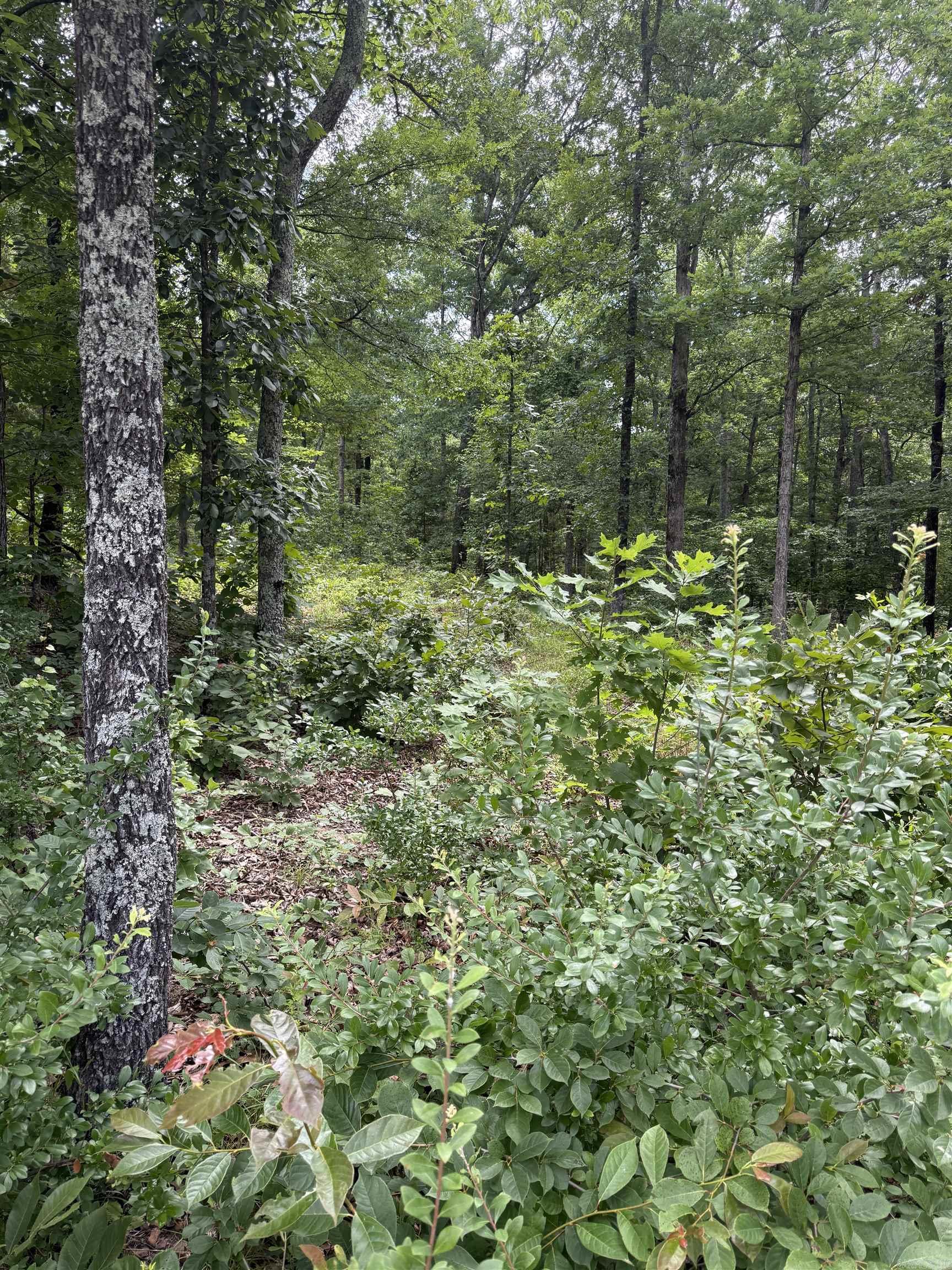 Not in Subdivision - Land