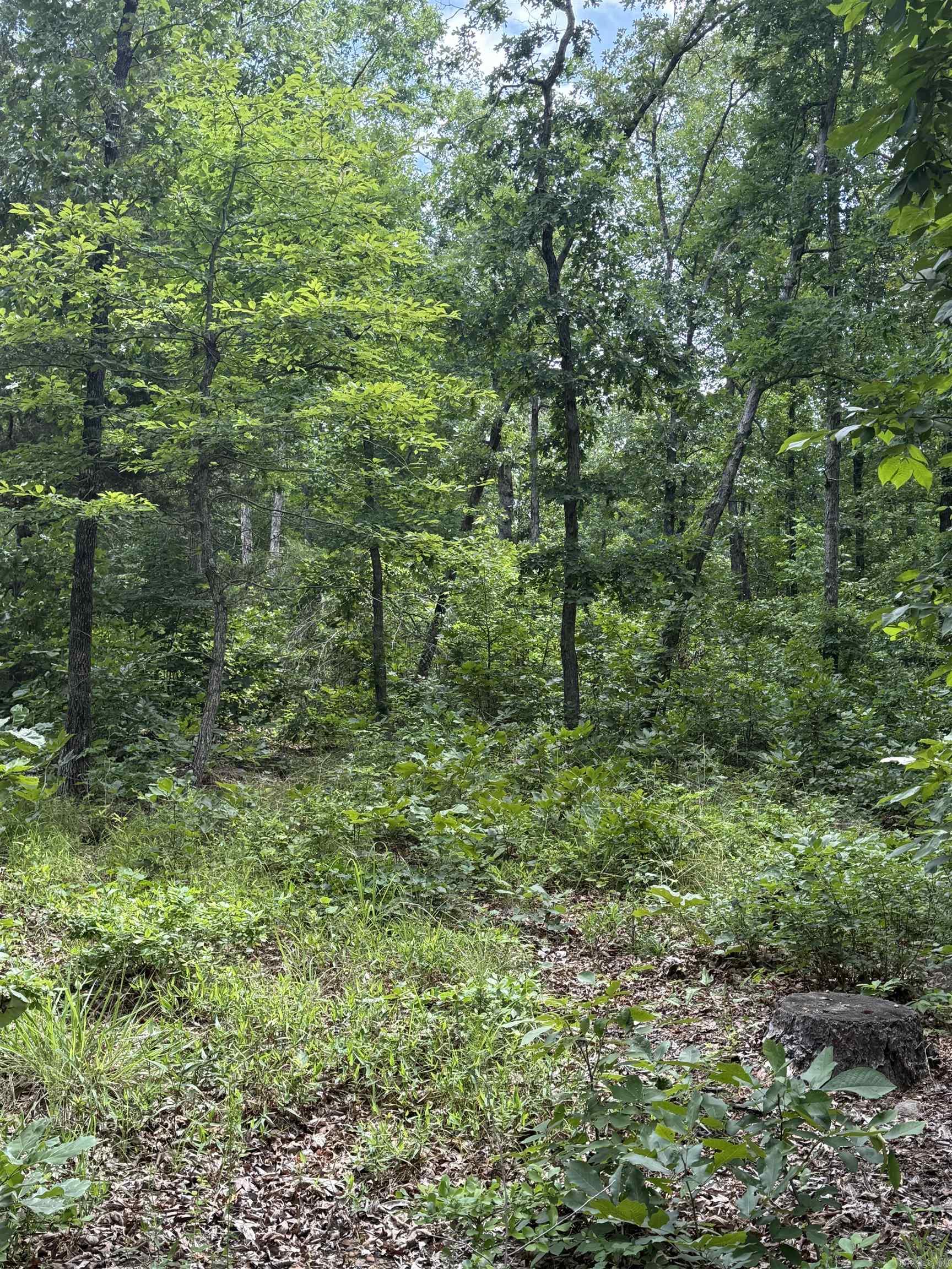Not in Subdivision - Land