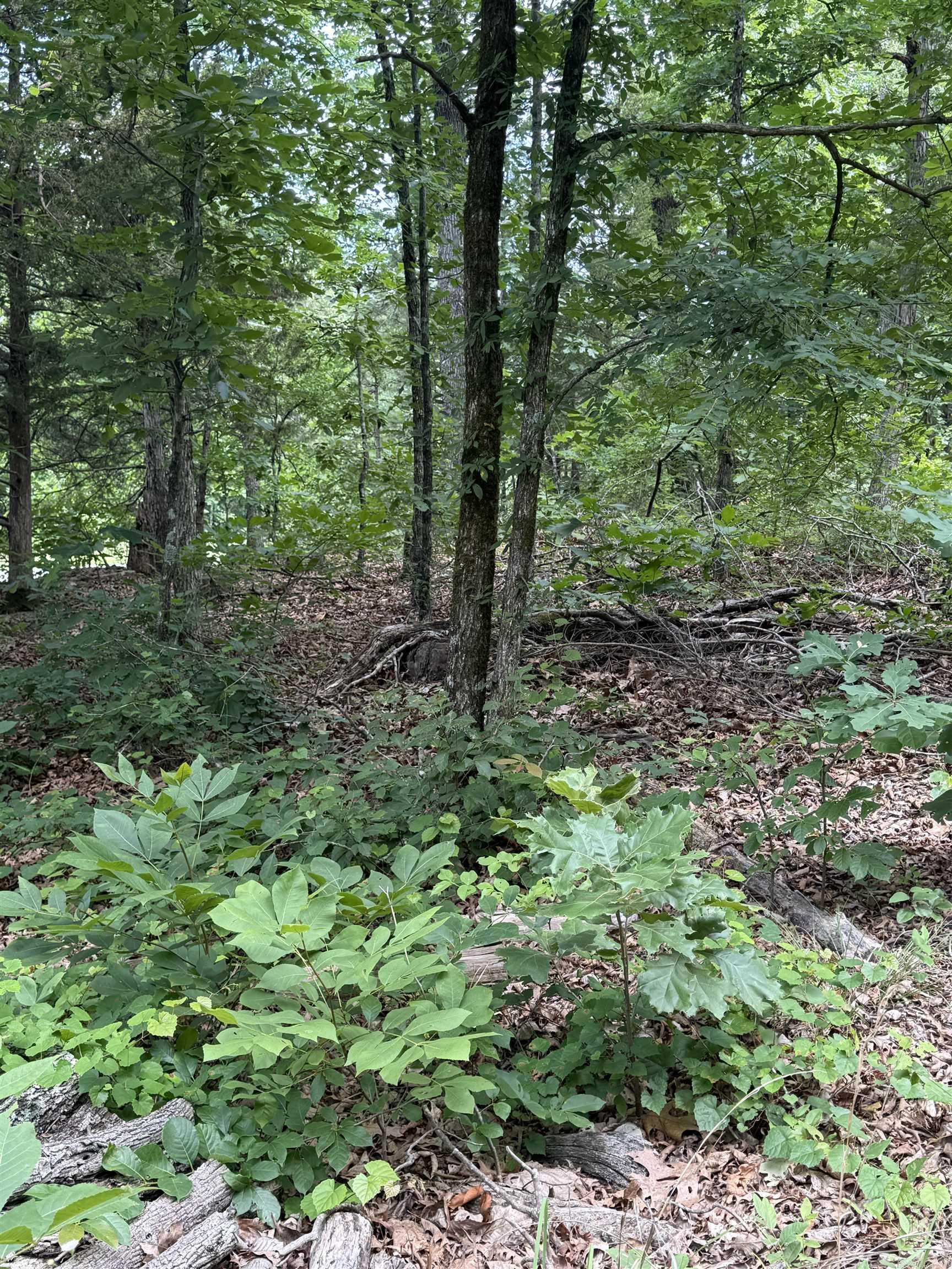 Not in Subdivision - Land