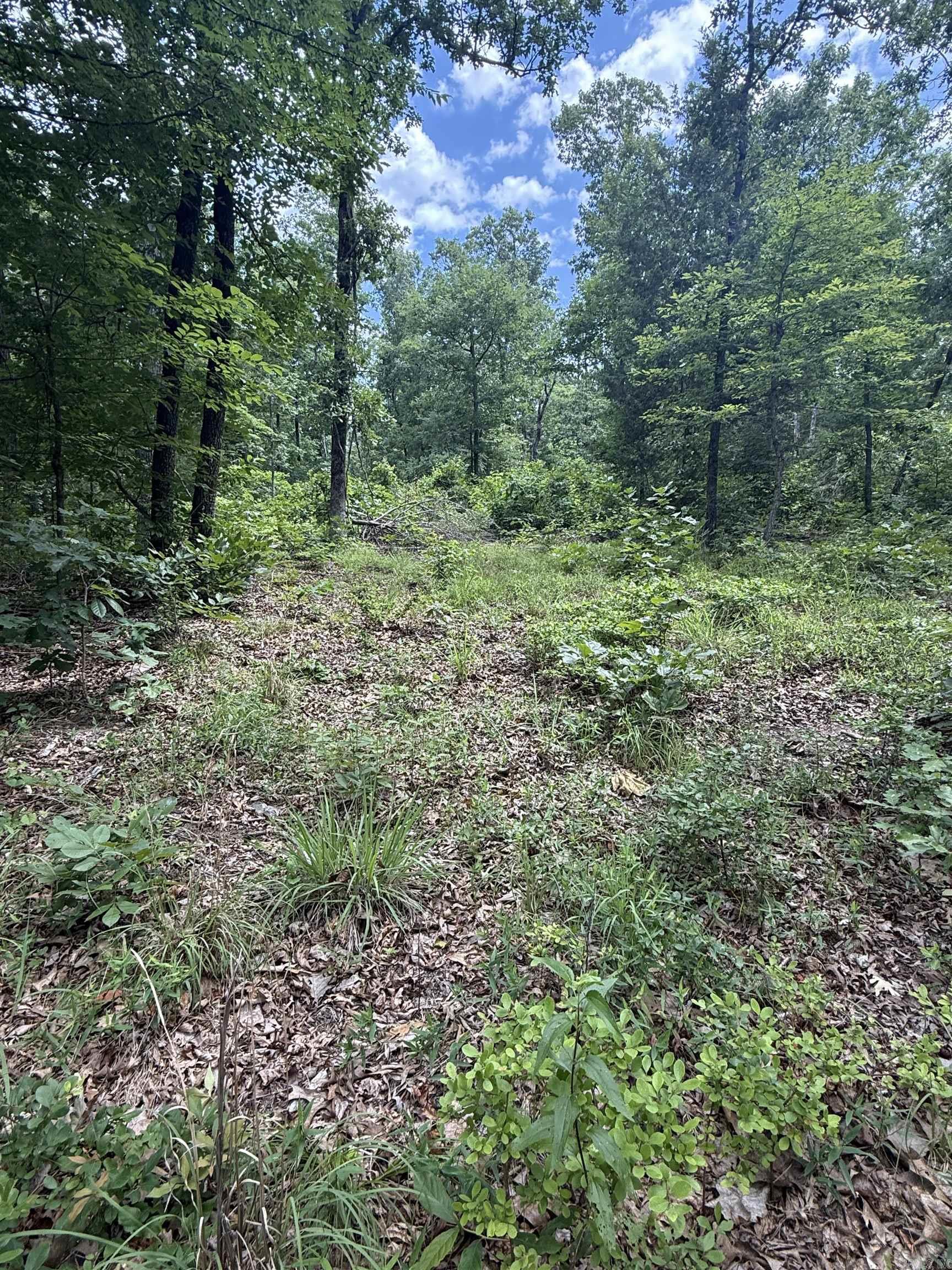Not in Subdivision - Land