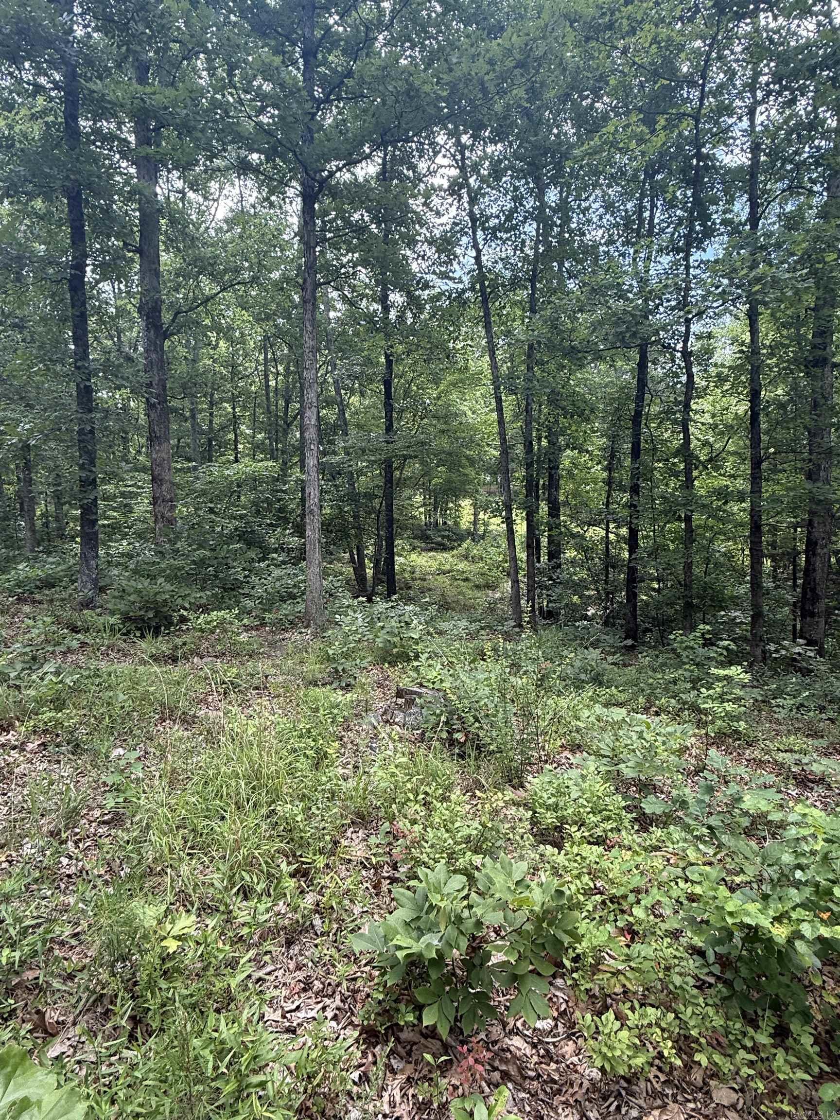 Not in Subdivision - Land