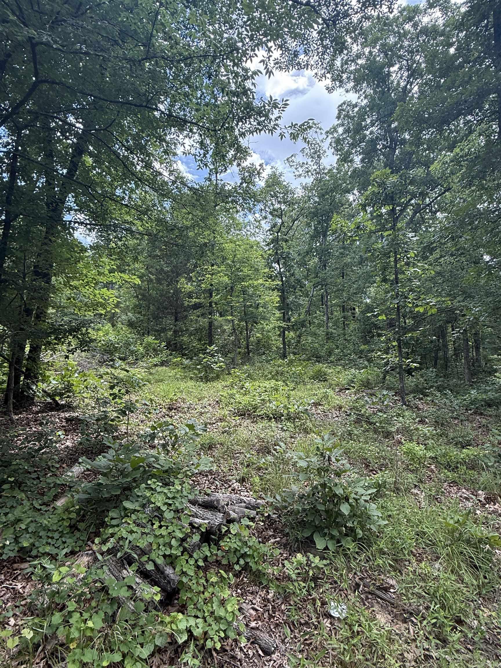 Not in Subdivision - Land