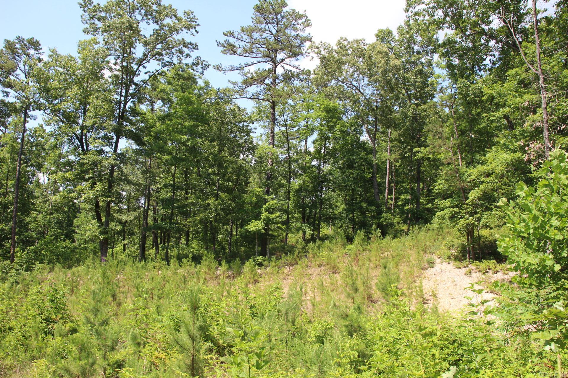 Not in Subdivision - Land