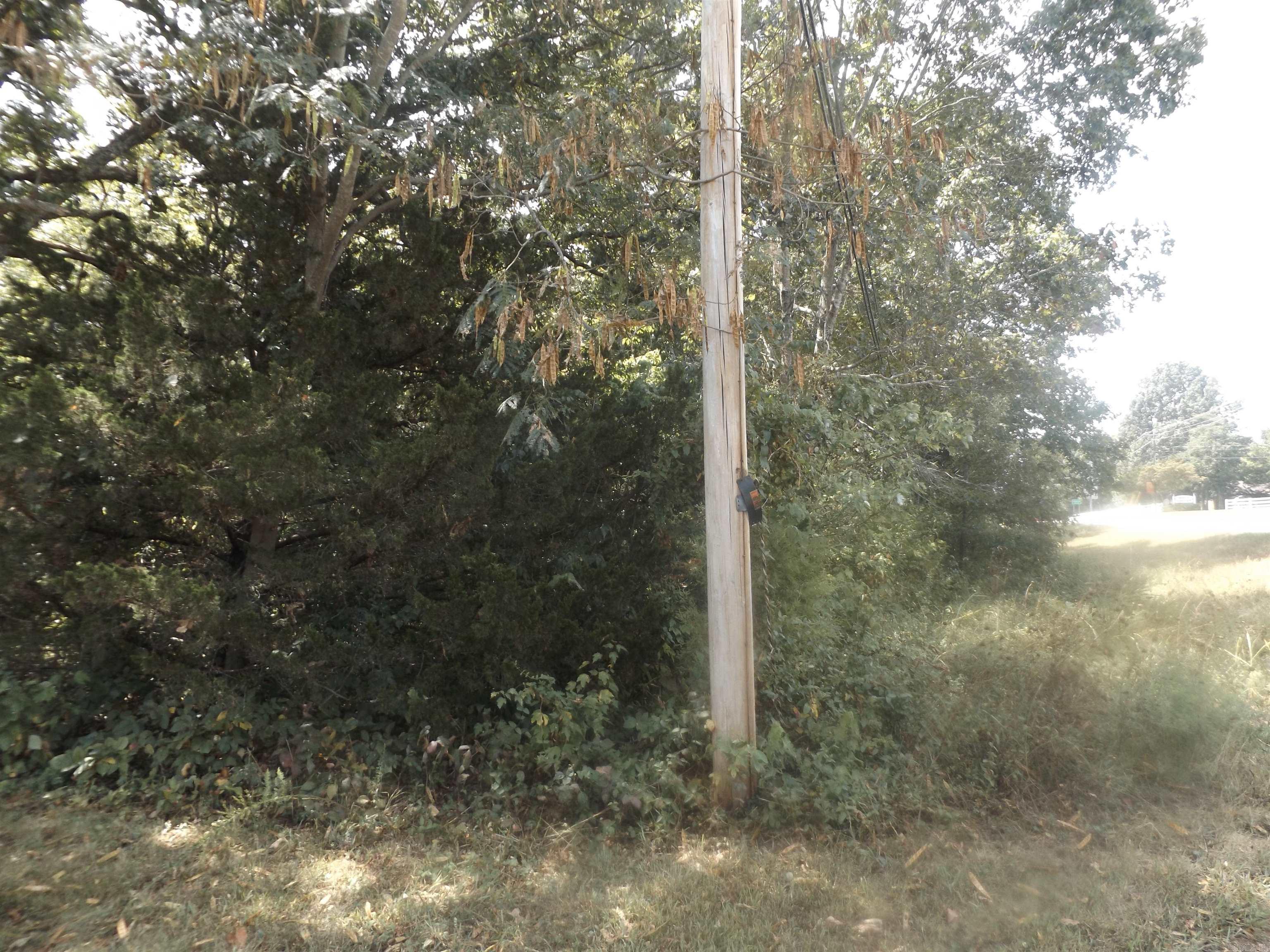 Looking for that perfect Lot near Bull Shoals Lake with city water, NAEC electric, NEXT Internet all available? Also apparently exempt from subdivision restrictions! (to be verified by buyer) This flat to gentle rolling lot would make the perfect site for your new home!