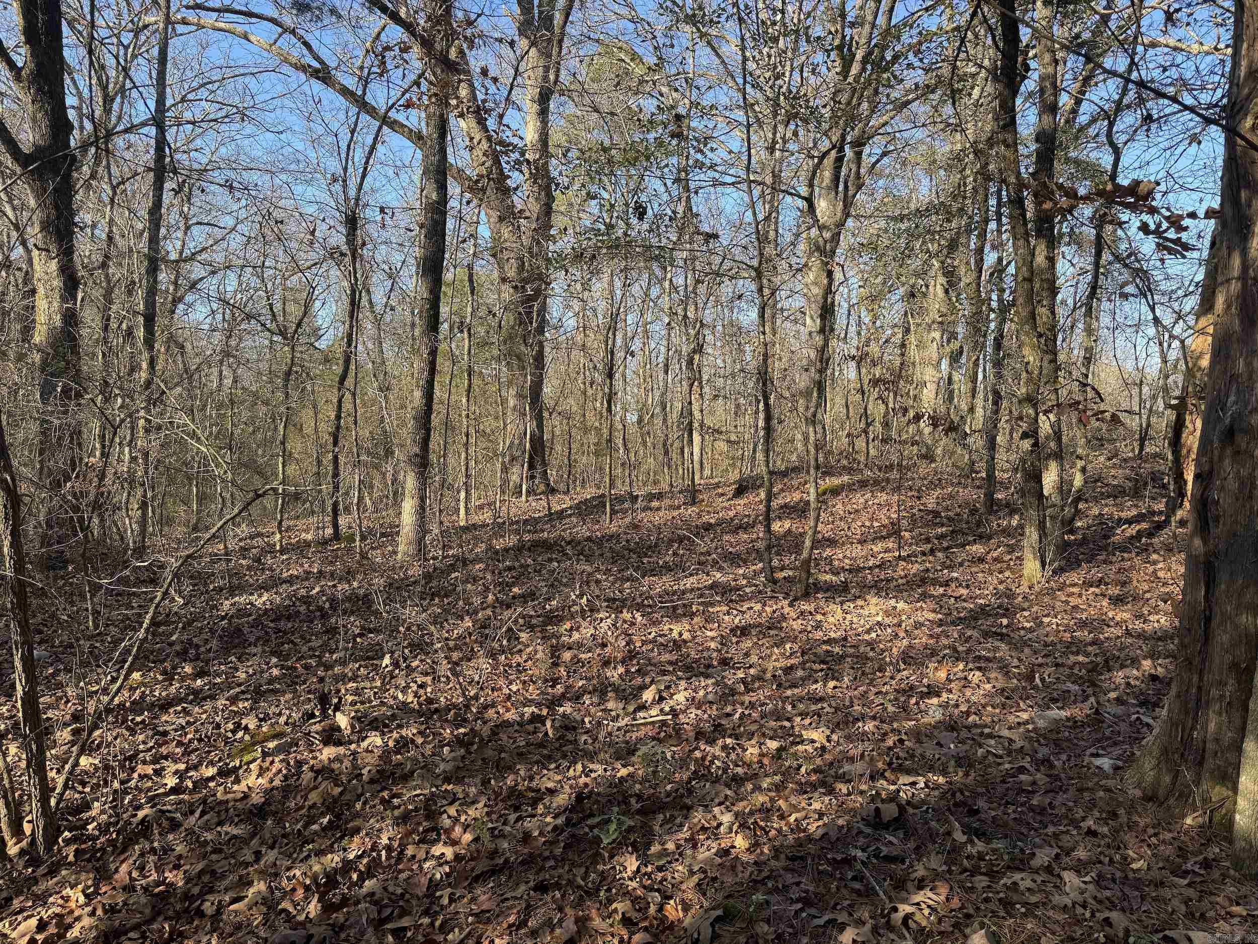 **7.98 +/- Acres in Glenwood, Arkansas** Discover a rare opportunity to own nearly 8 acres of picturesque land. This expansive property offers a perfect blend of natural beauty and potential for development, making it an ideal choice for investors, builders, or anyone looking to create their dream retreat. Close proximity to Lake Greeson and Ouachita National Forest, perfect for fishing, hiking, and outdoor adventures. This 7.98 +/- acre property is a fantastic canvas for your vision—whether you're looking to build a family home, establish a farm, or invest in real estate. Don’t miss your chance to own a piece of this beautiful Arkansas landscape! It consists of three separate parcels/addresses and is being offered as a whole, with the option to purchase individually according to the county’s division.