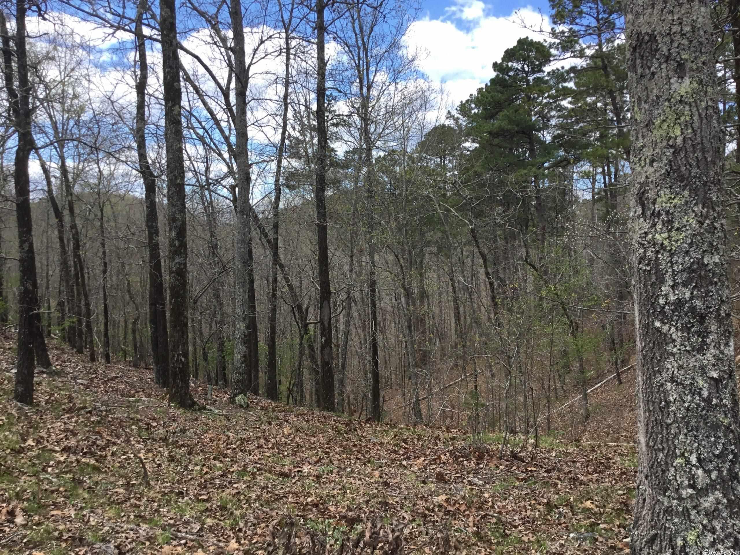West Pulaski - Land