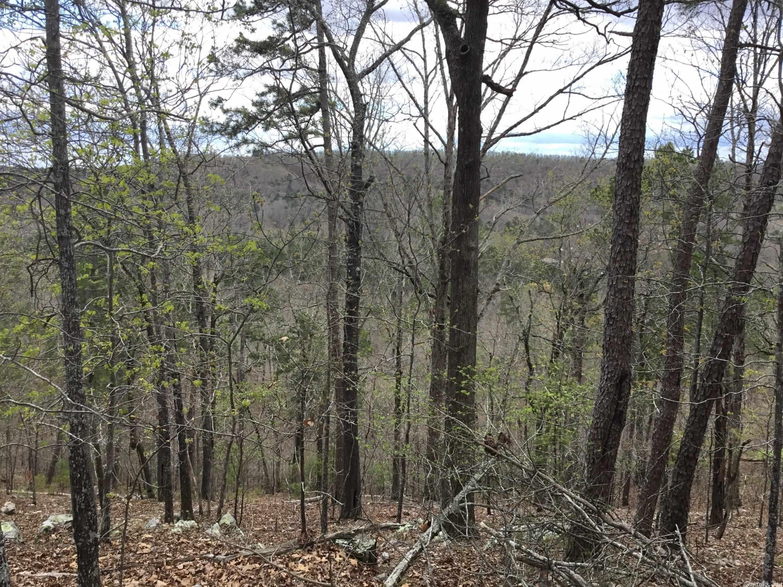 West Pulaski - Land