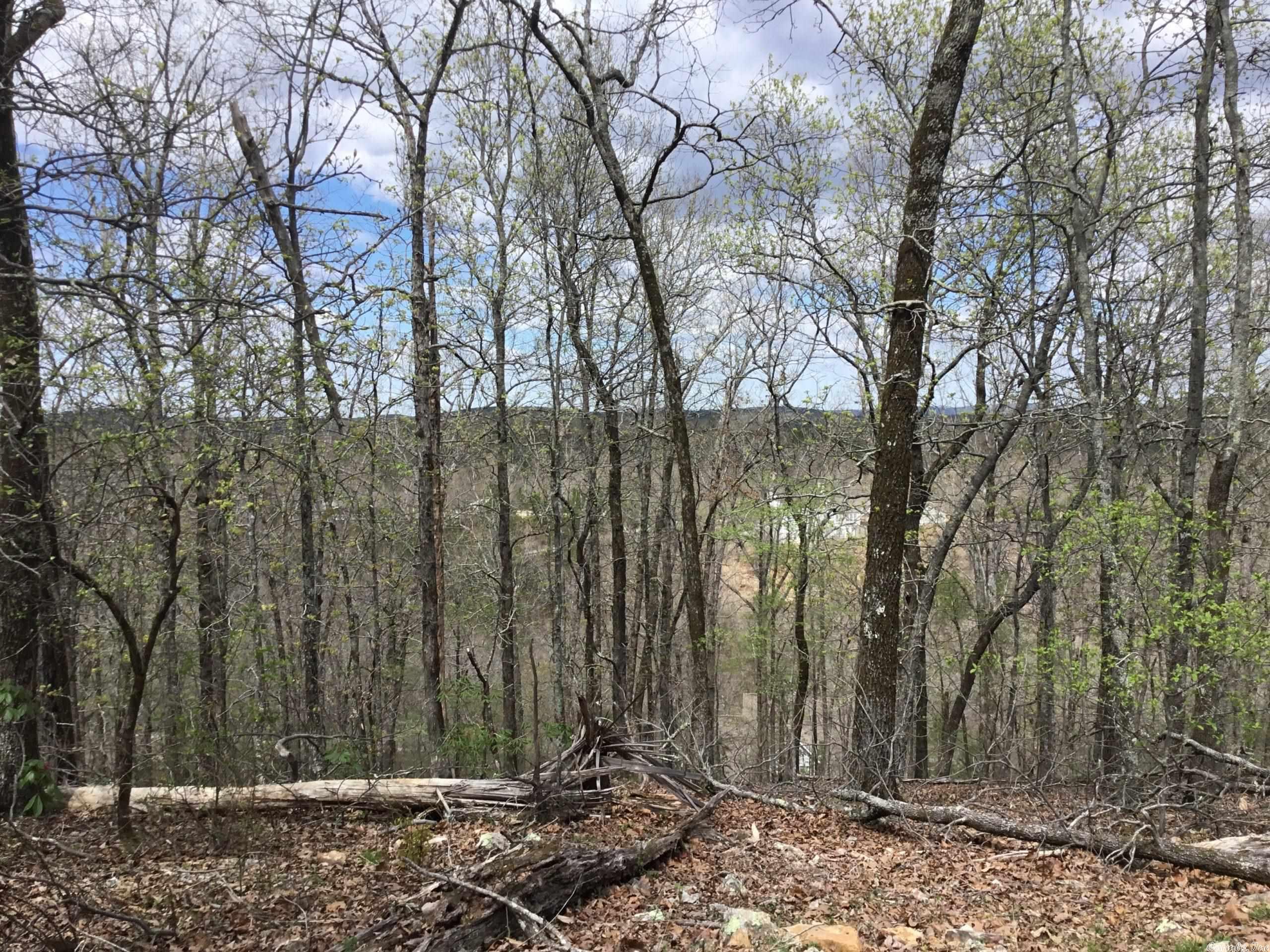 West Pulaski - Land