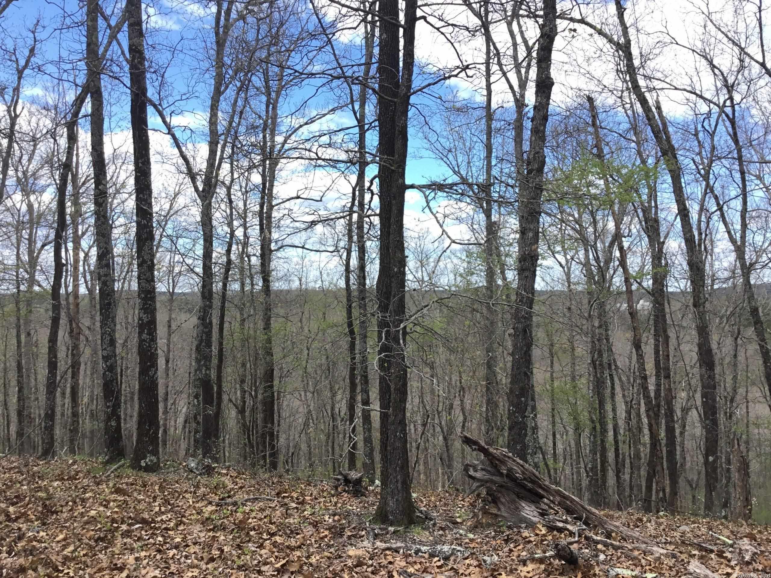 West Pulaski - Land