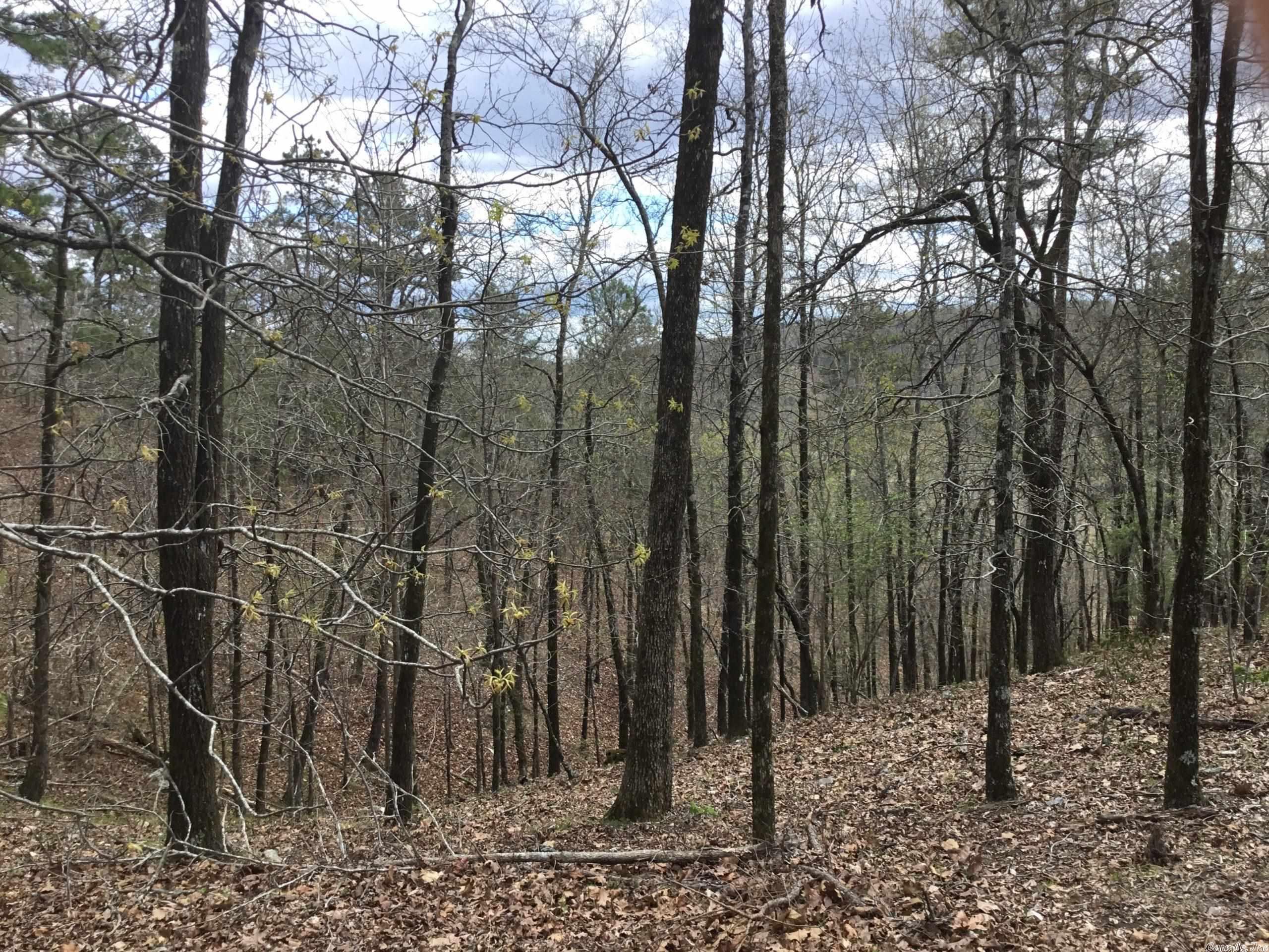 West Pulaski - Land