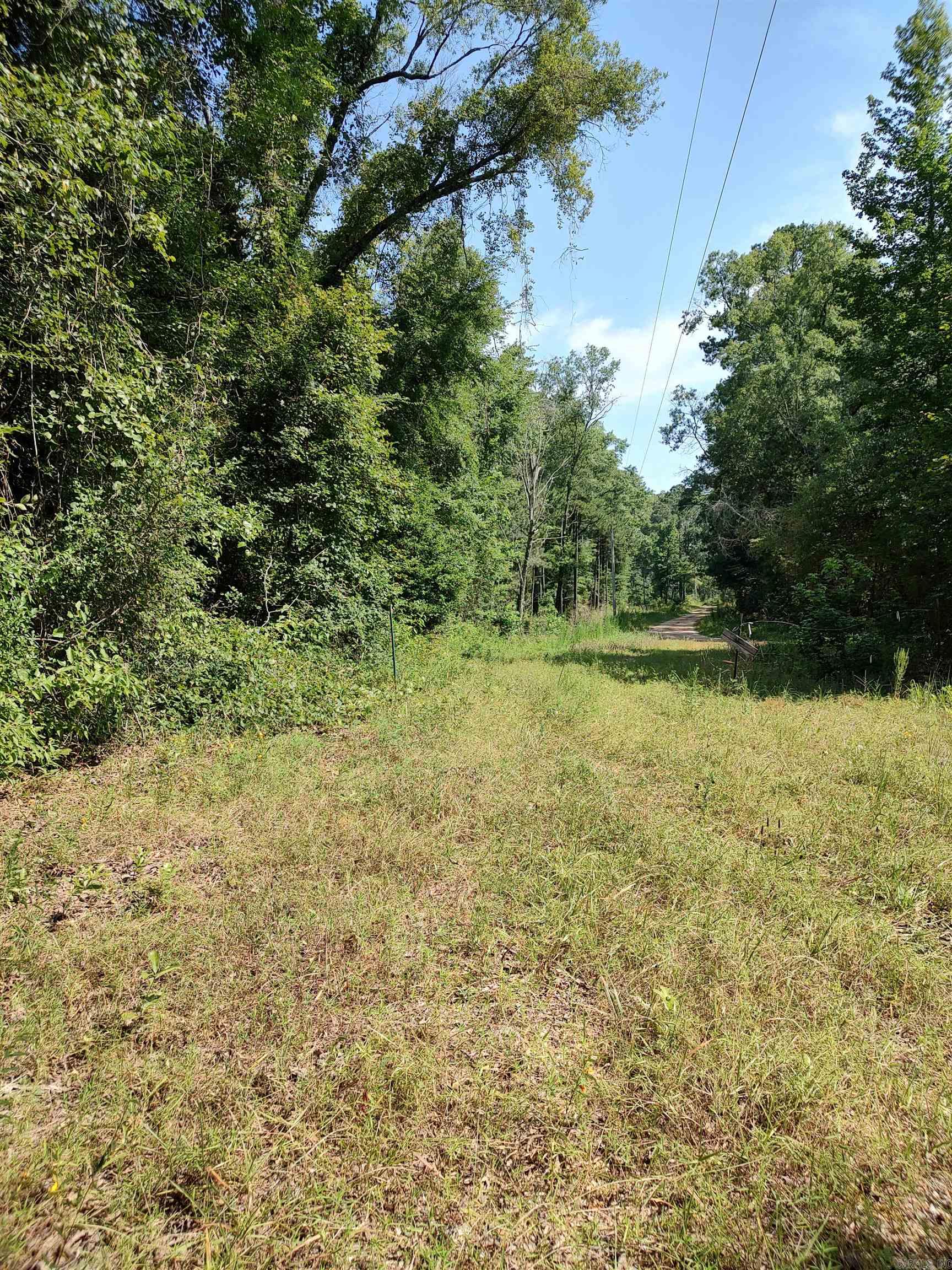 80 acres of hunting and enjoying wildlife.  There is a mix of trees on property.  Has electrical poles on the property so electricity is close.  There is a pond, this property could become some ones deer camp or home place or just the perfect get away! Square footage, lot size, and acreage is taken from courthouse records.   *NO DEER STANDS COVEY WITH THE SALE OF PROPERTY!!  *NO SELLER PROPERTY DISCLOSURE WILL BE PROVIDED!!