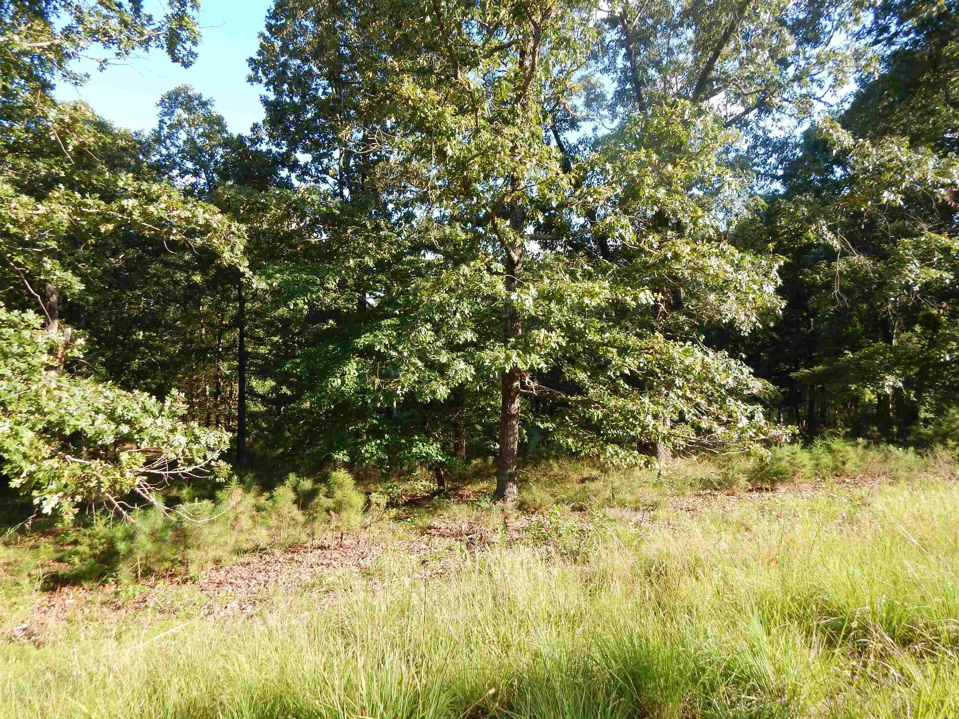 Mountain Aire East Lakeside I - Land